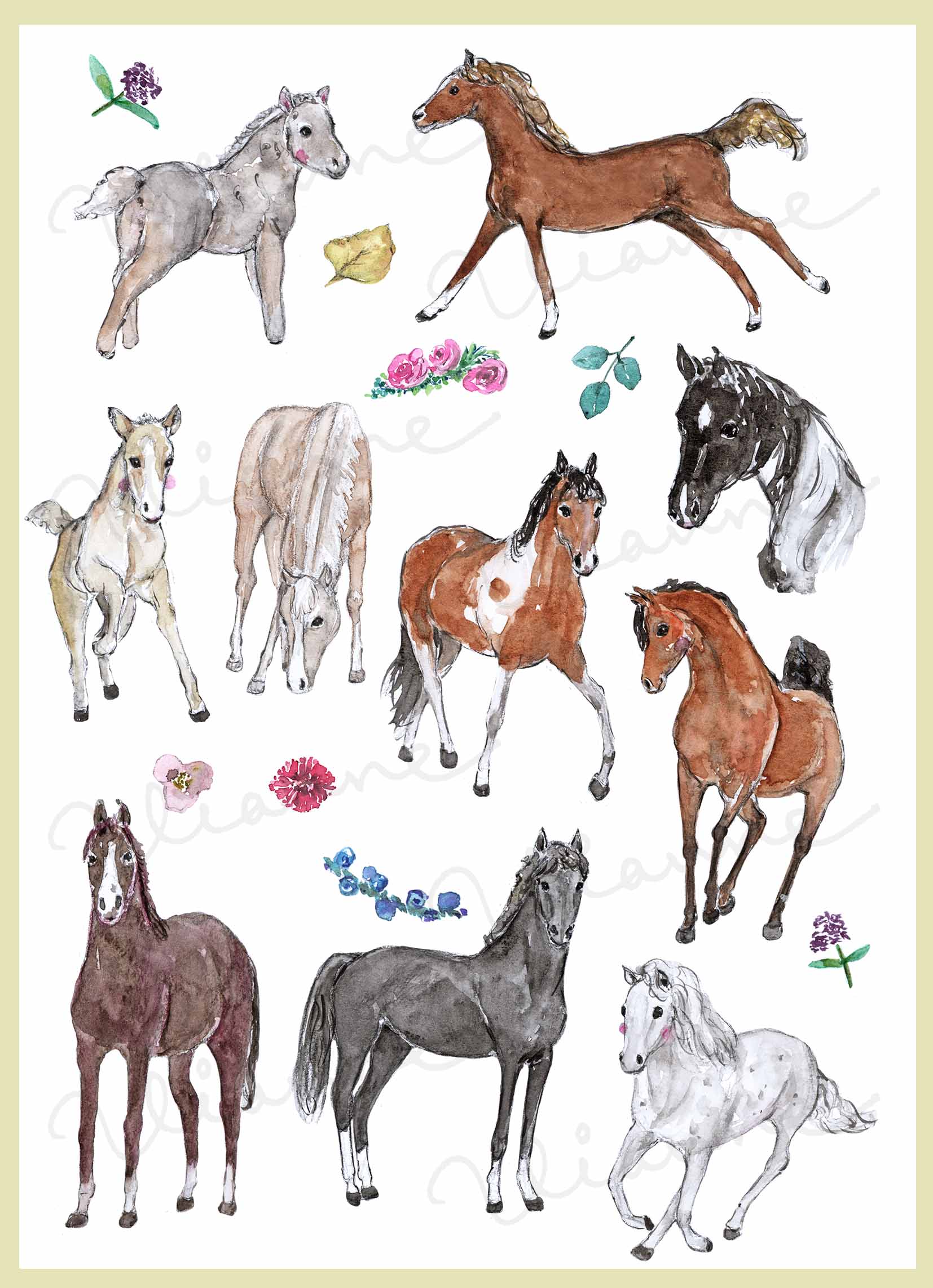 Horse Clipart Set