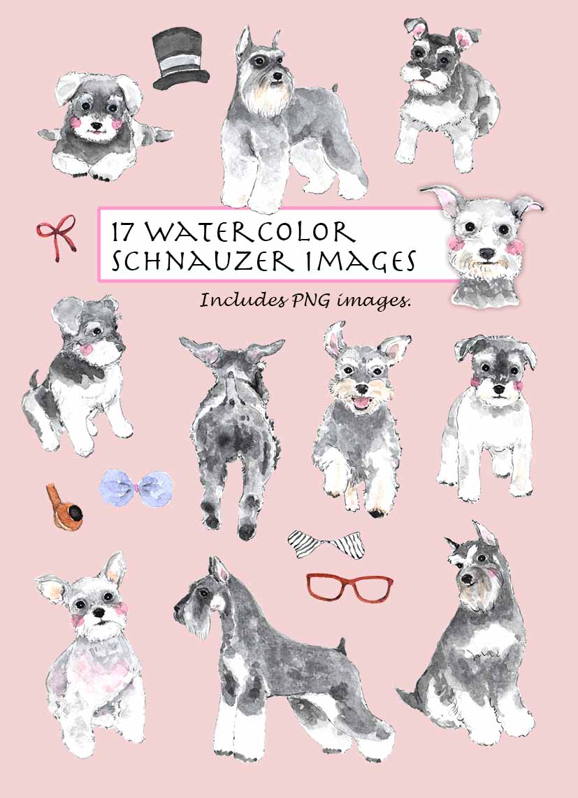 Schnauzer Clipart Set