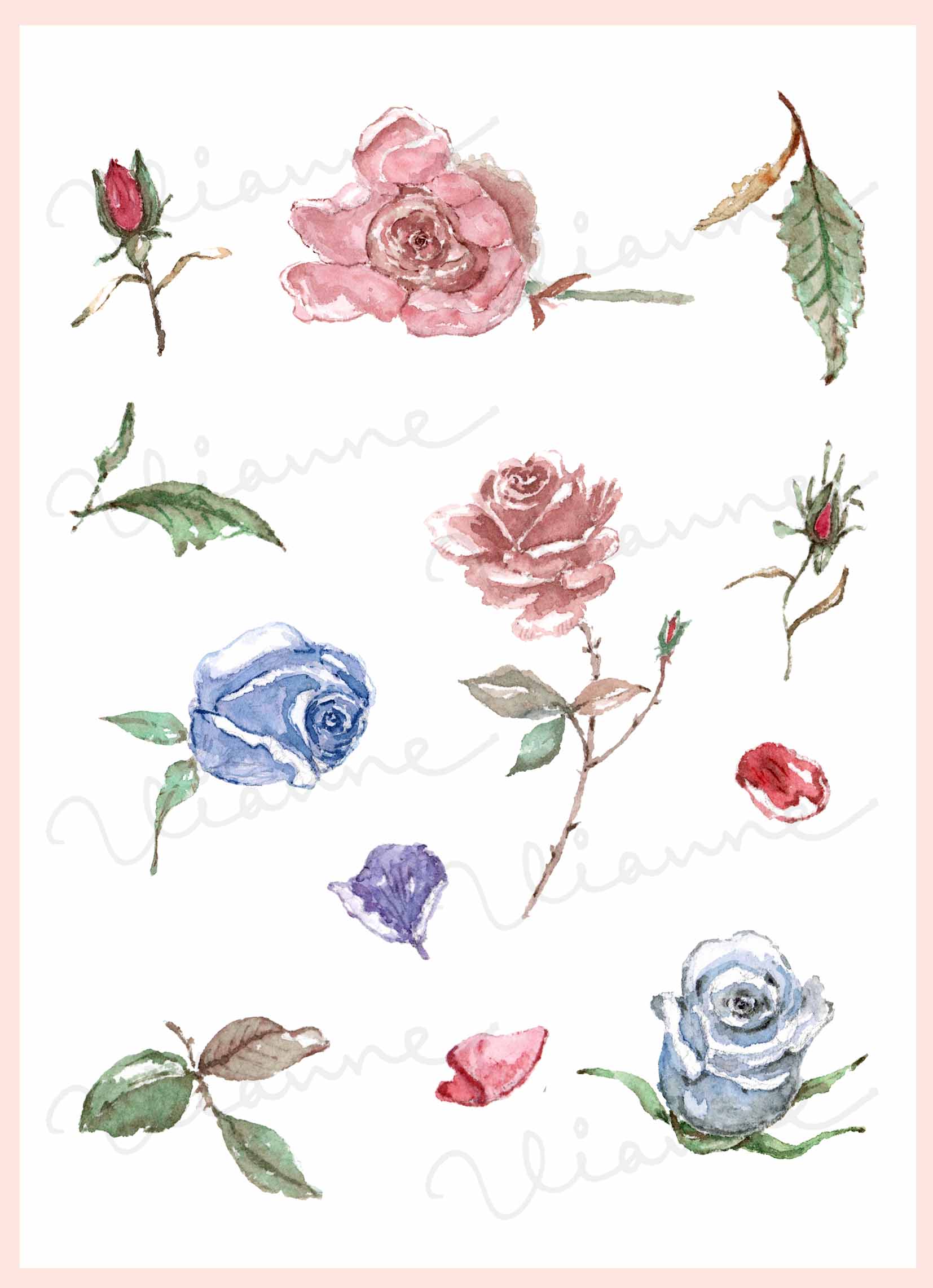 Rose & Leaves Clipart Set