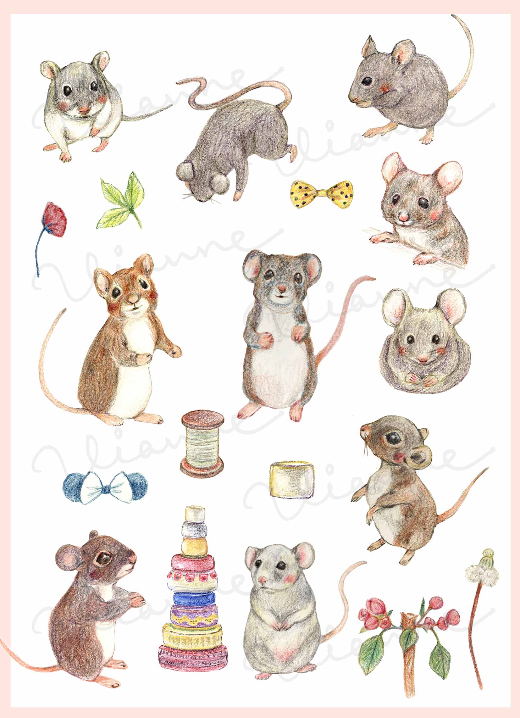 Pet Mouse Clipart Set