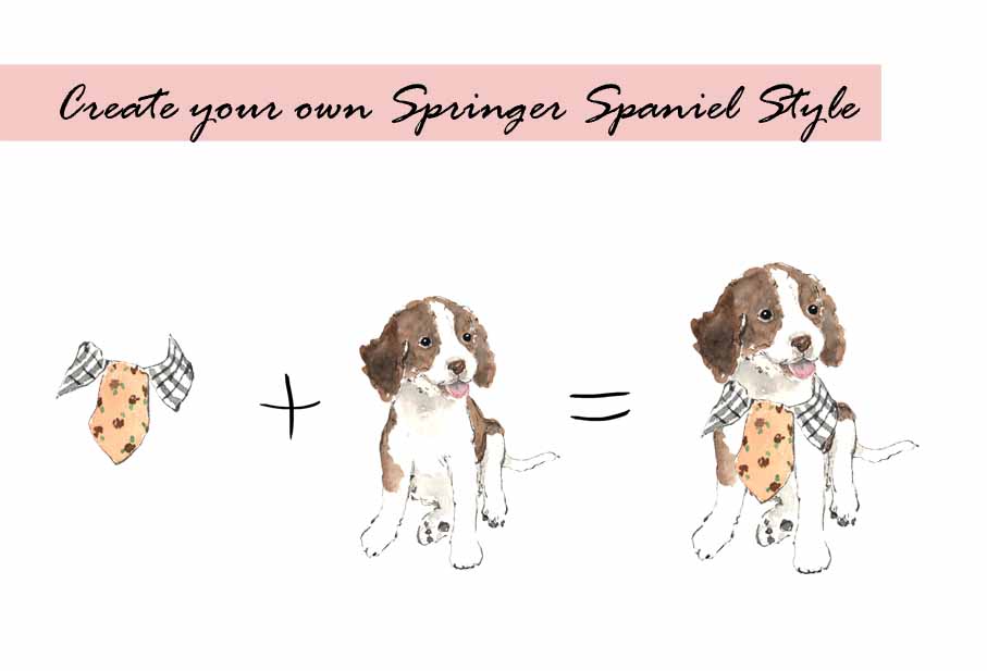 English Springer Spaniel & Collar Clipart Set