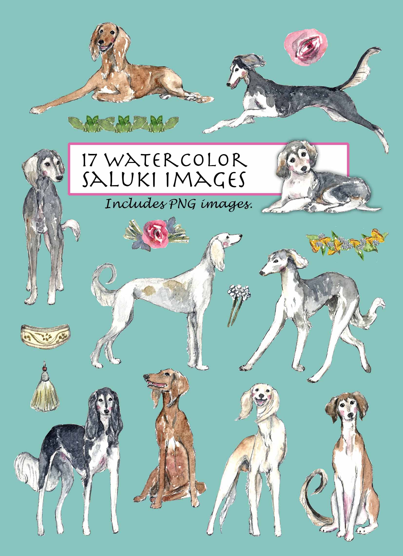 Saluki Clipart Set