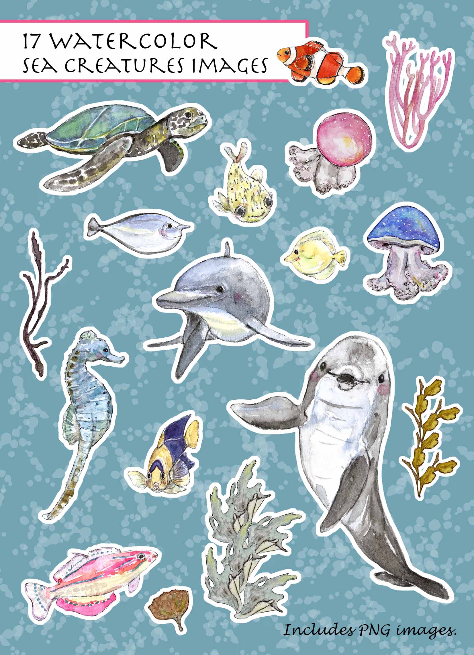 Sea Creatures Clipart Set