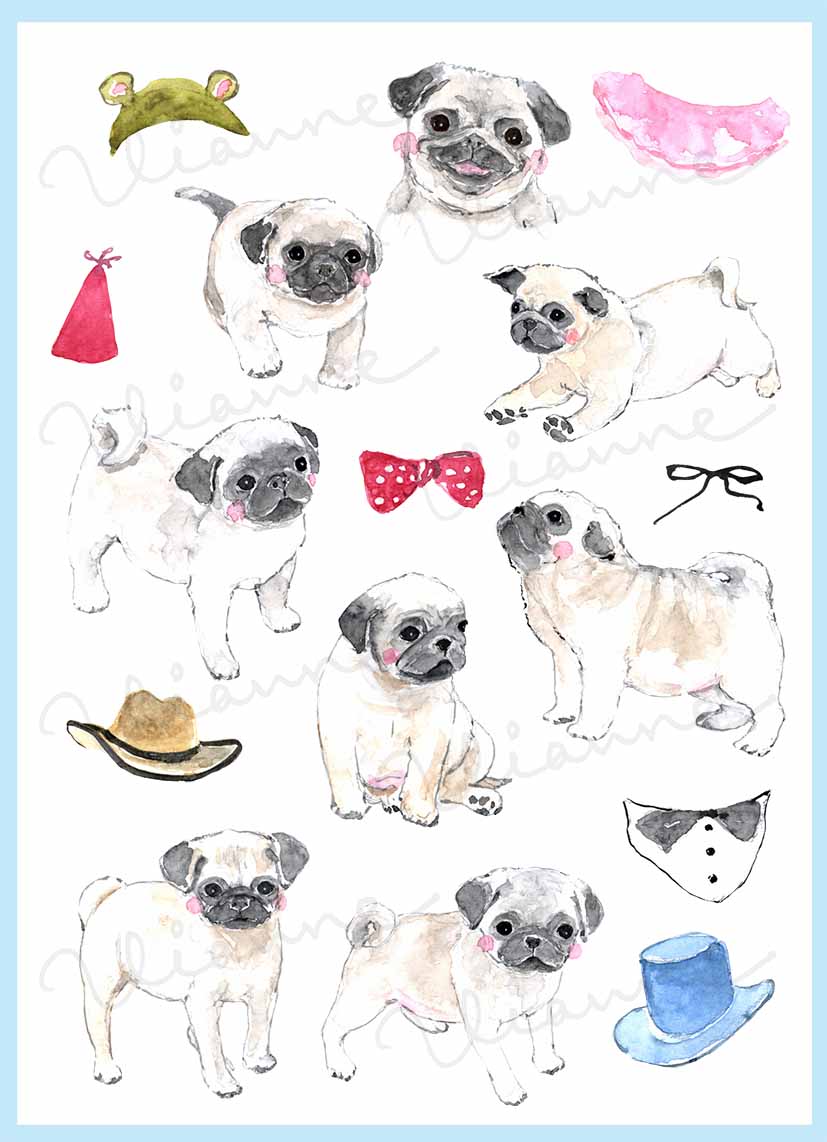 Pugs Clipart Set