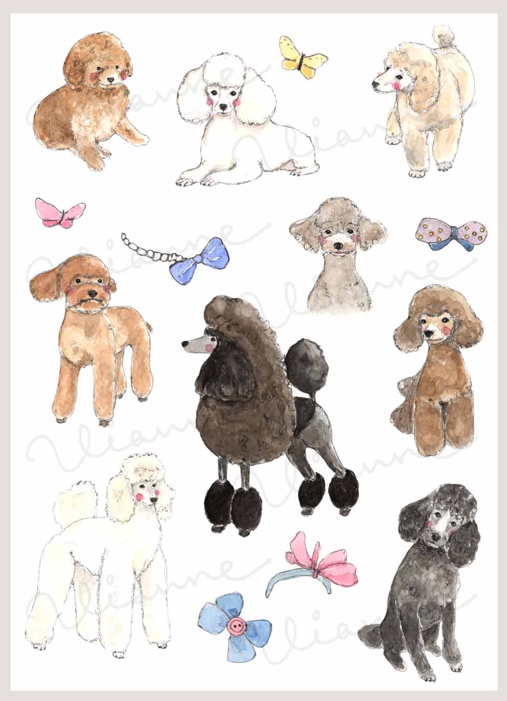 Poodles & Hair Bows Clipart Set