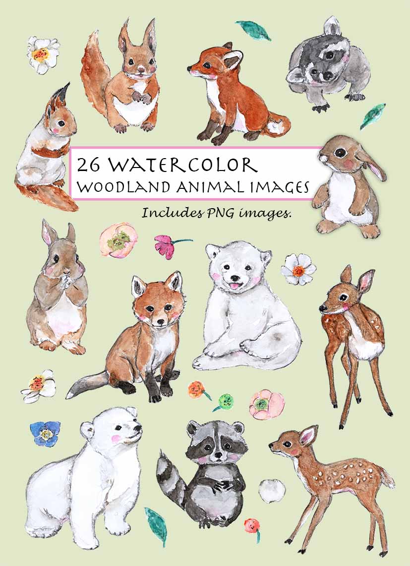 Woodland Animals Clipart Set