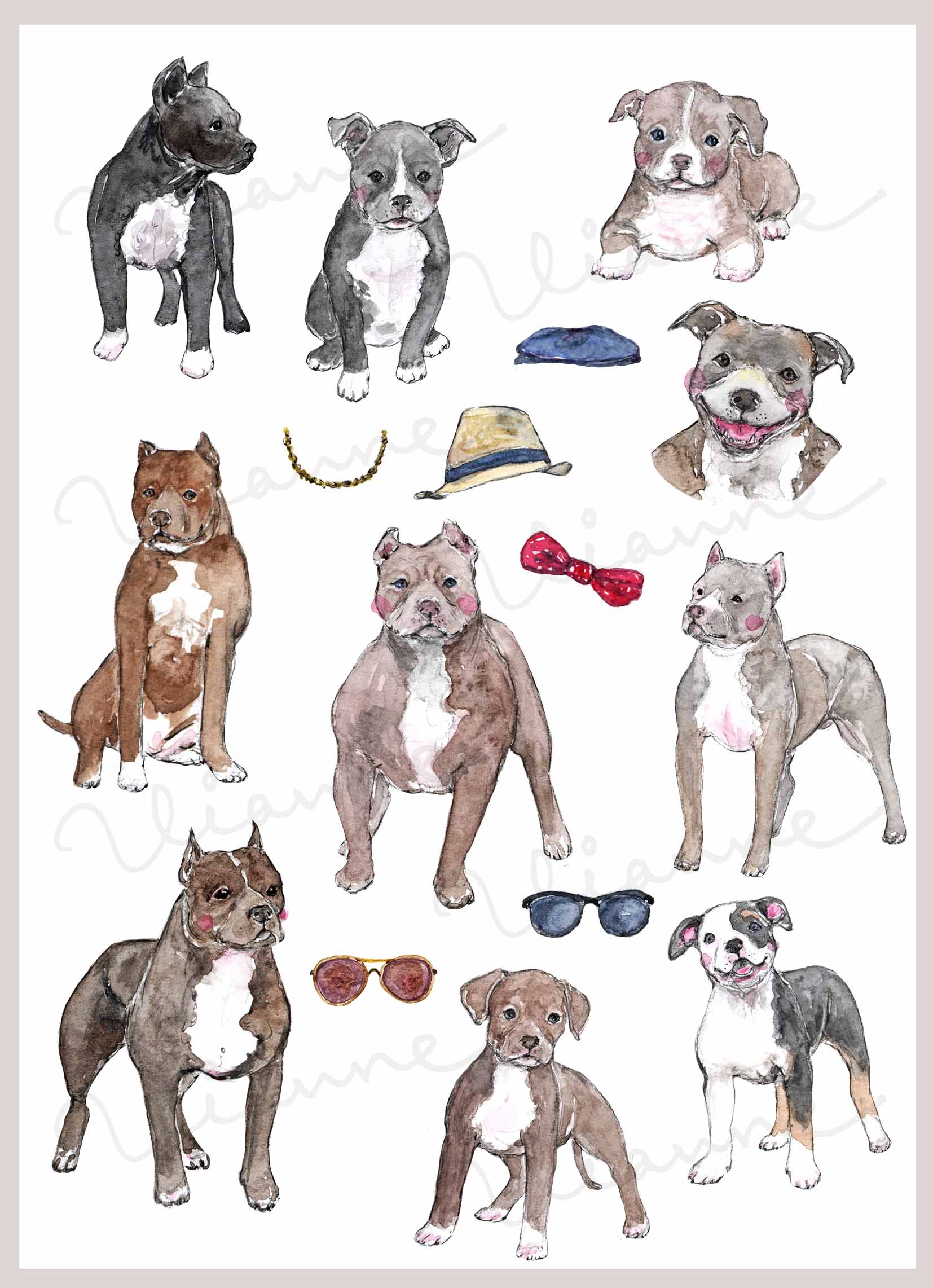 Pitbull Dog Clipart Set