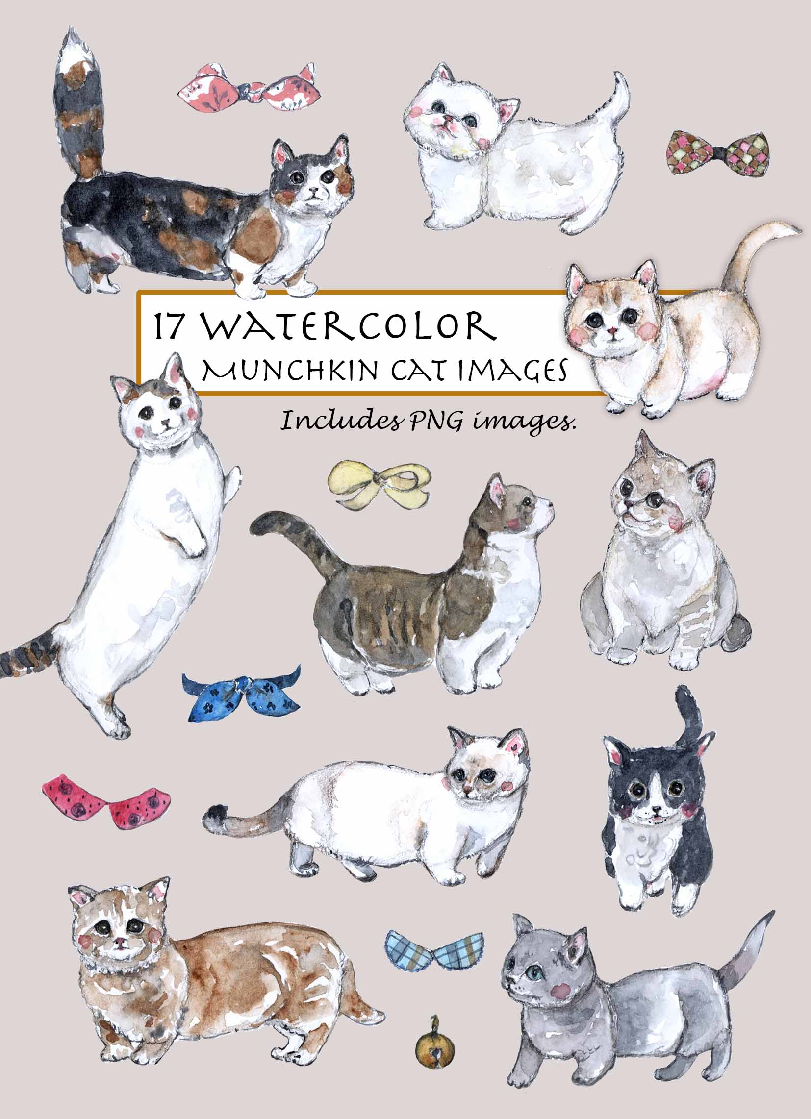 Munchkin Cat Clipart Set