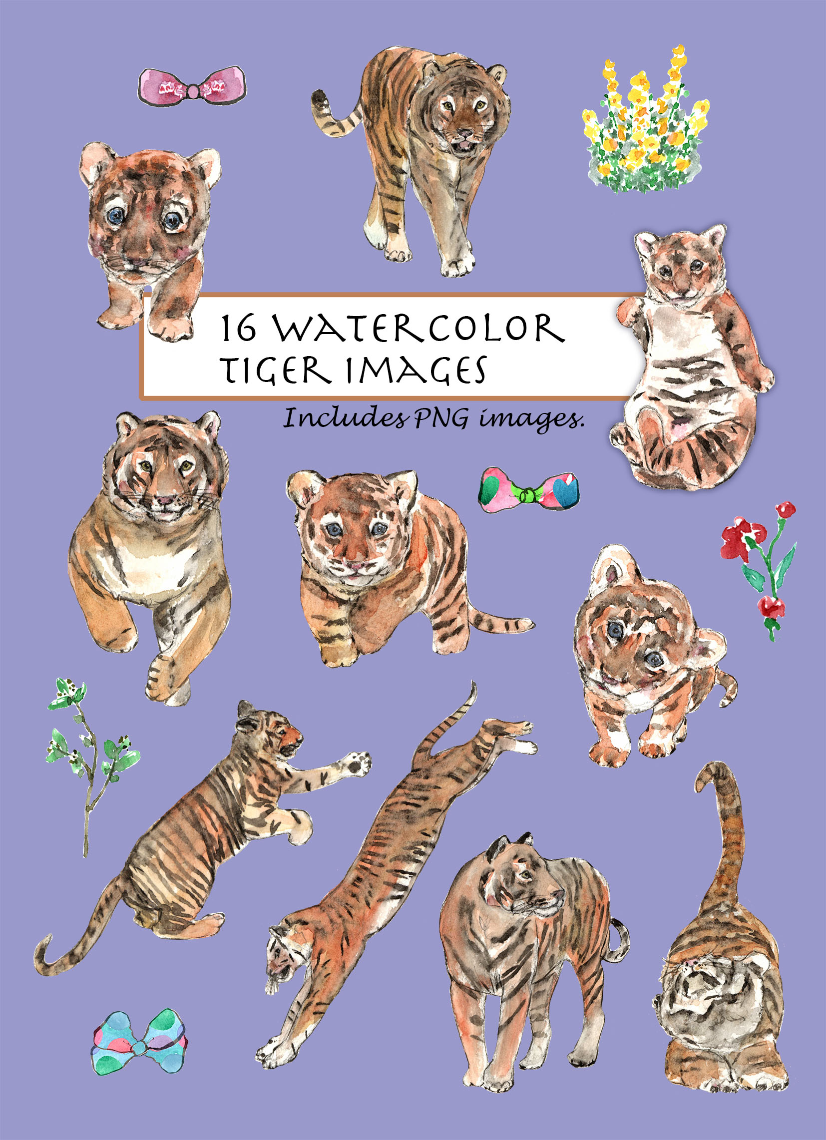 Tiger Clipart Set