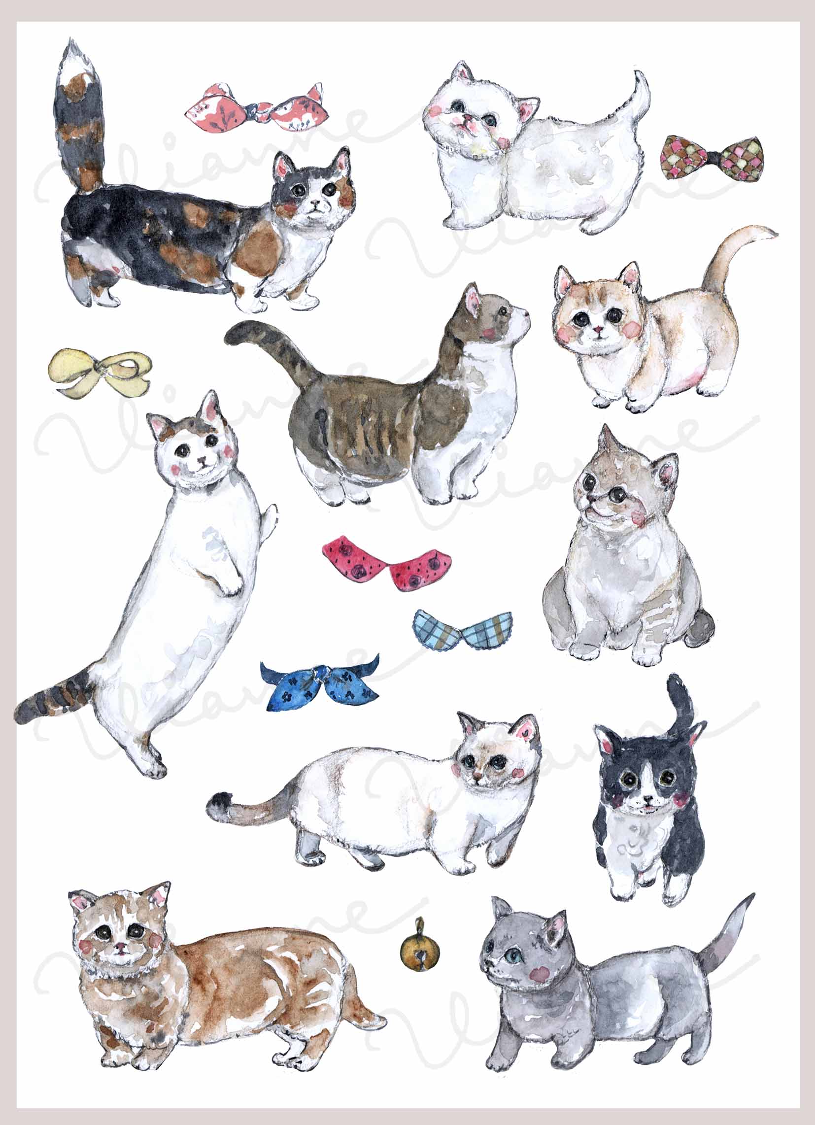 Munchkin Cat Clipart Set