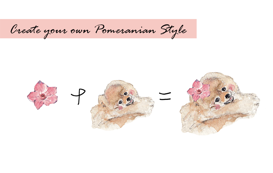 Pomeranian Clipart Set