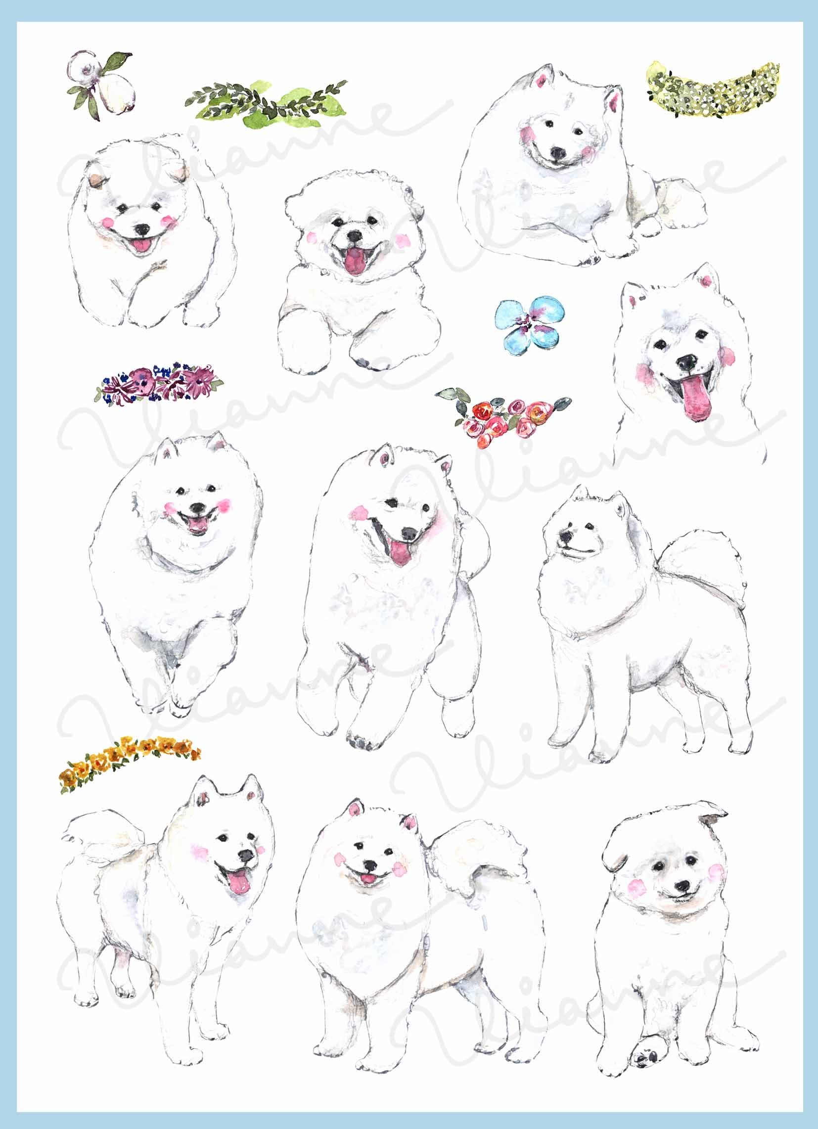Samoyed Clipart Set