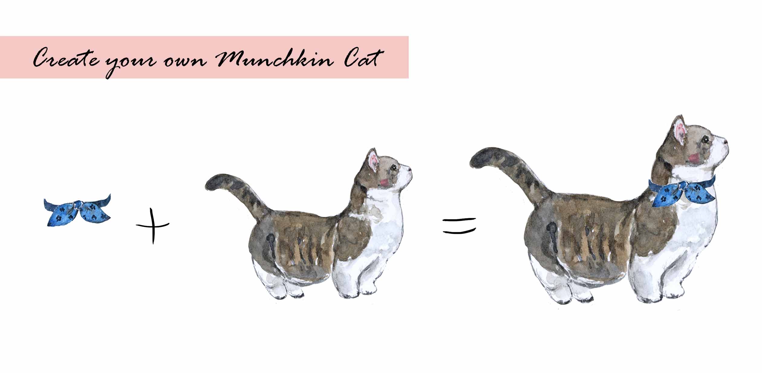 Munchkin Cat Clipart Set