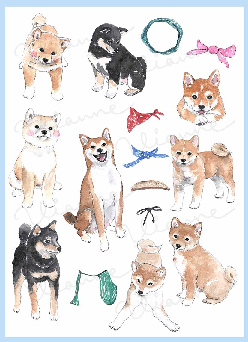 Shiba Inu Clipart Set