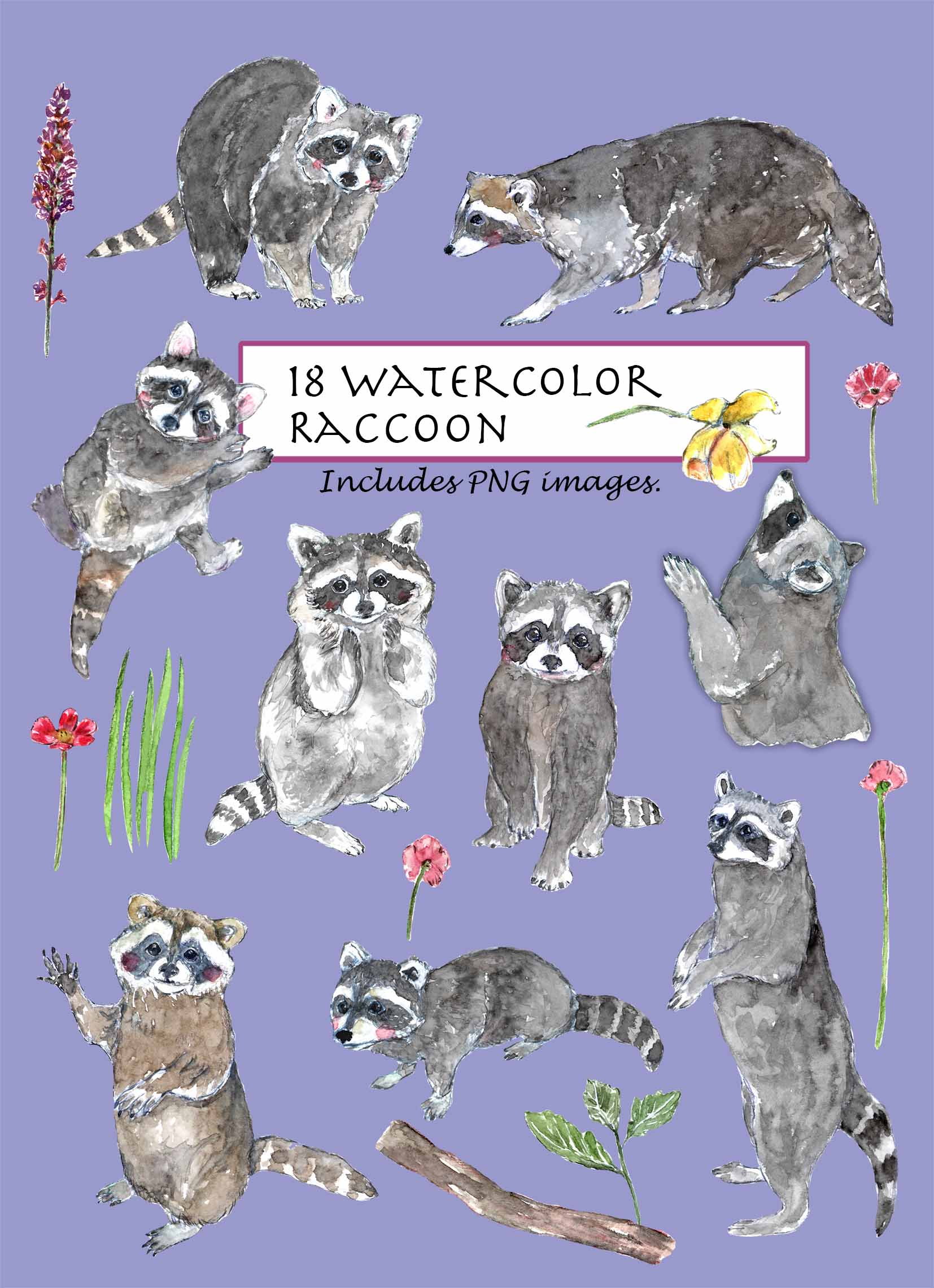 Raccoons Clipart Set