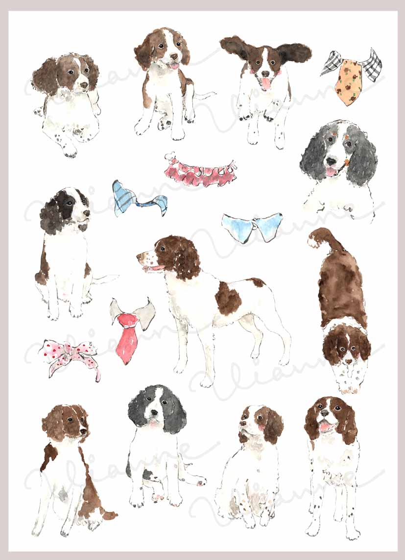 English Springer Spaniel & Collar Clipart Set