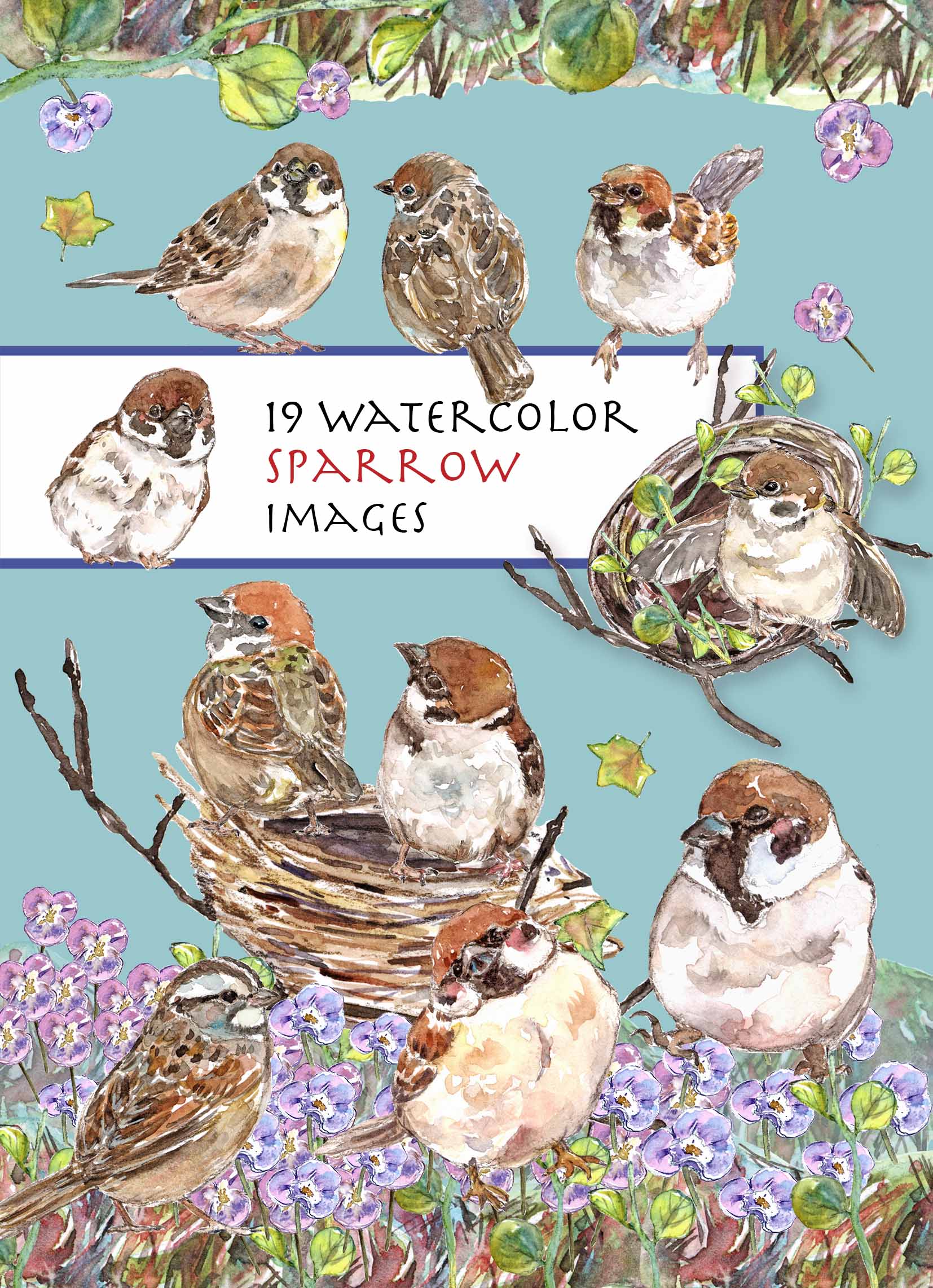 Sparrow Bird Clipart Set