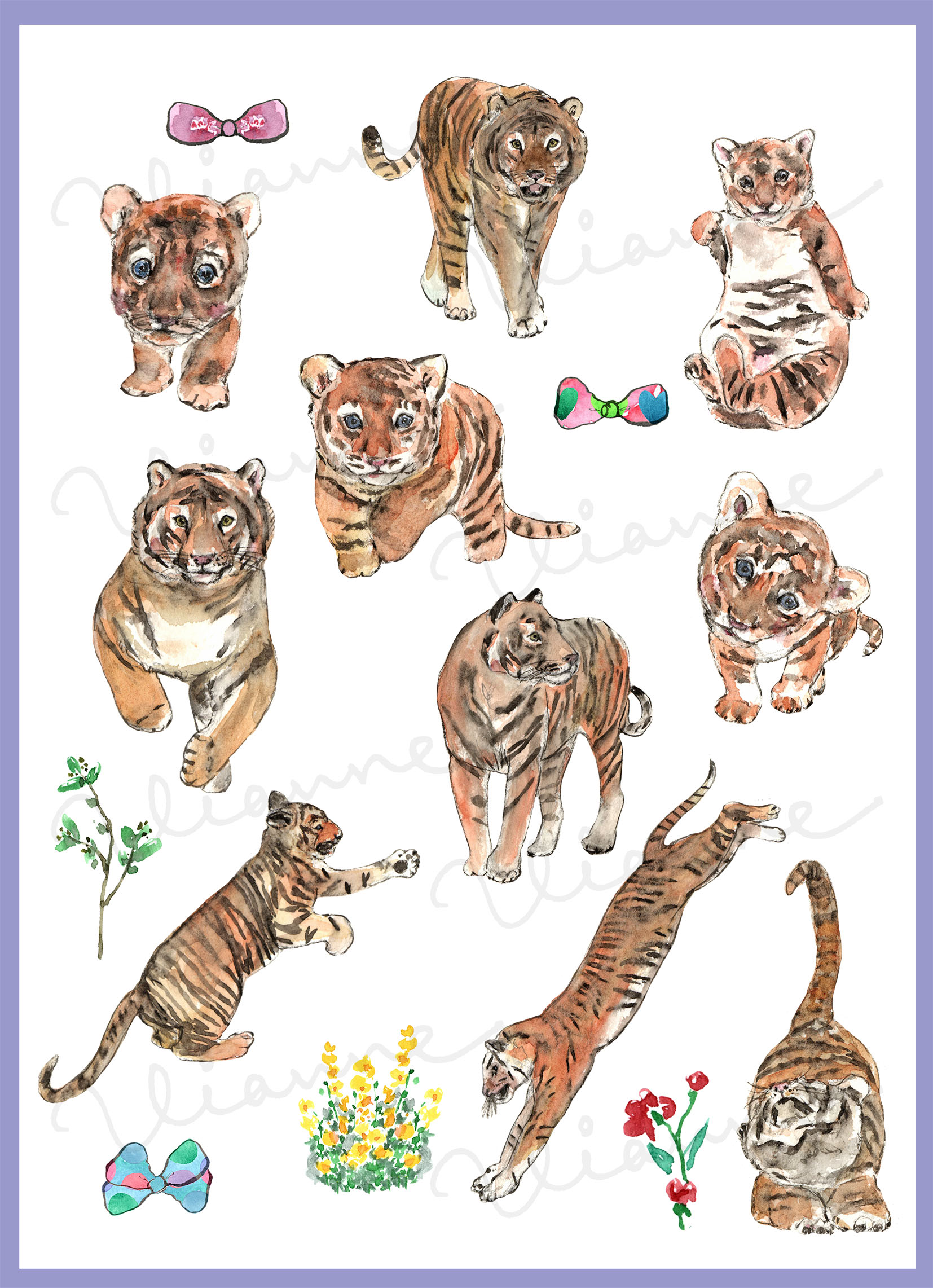 Tiger Clipart Set