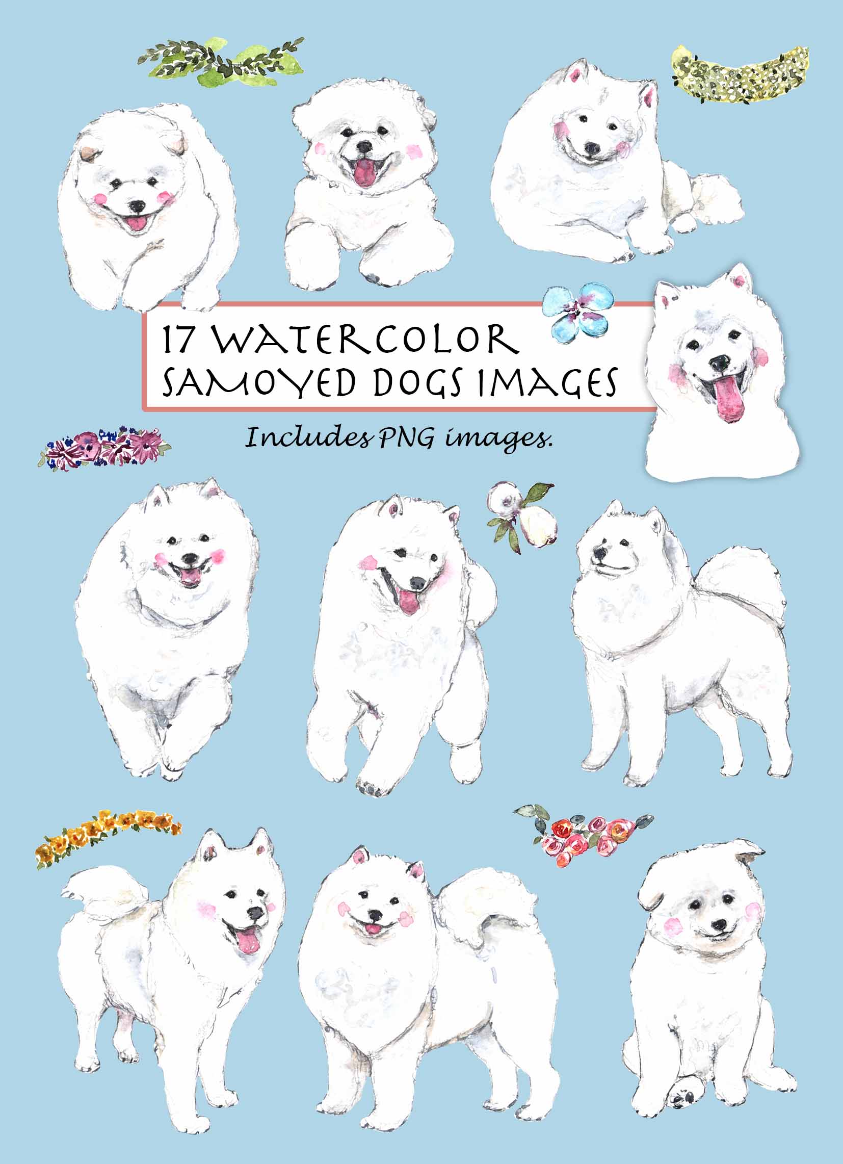 Samoyed Clipart Set
