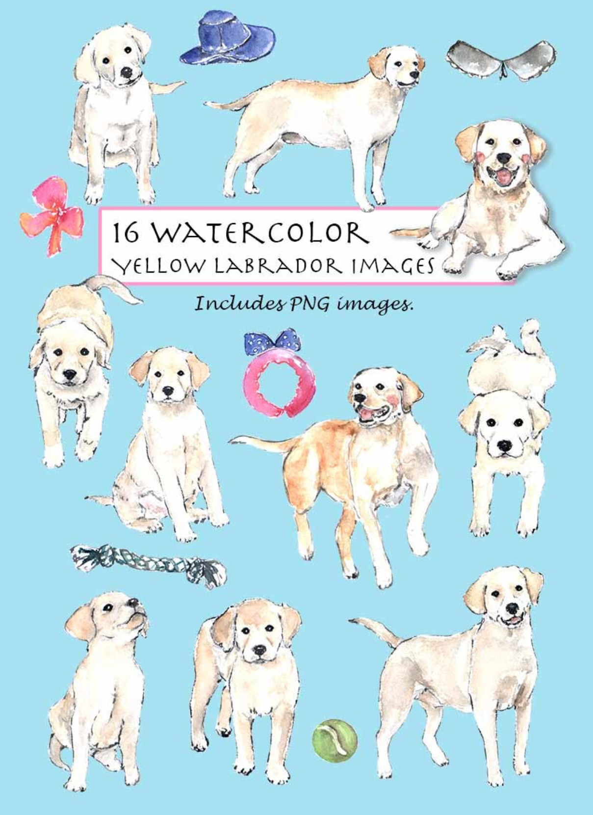 Yellow Labrador Clipart Set