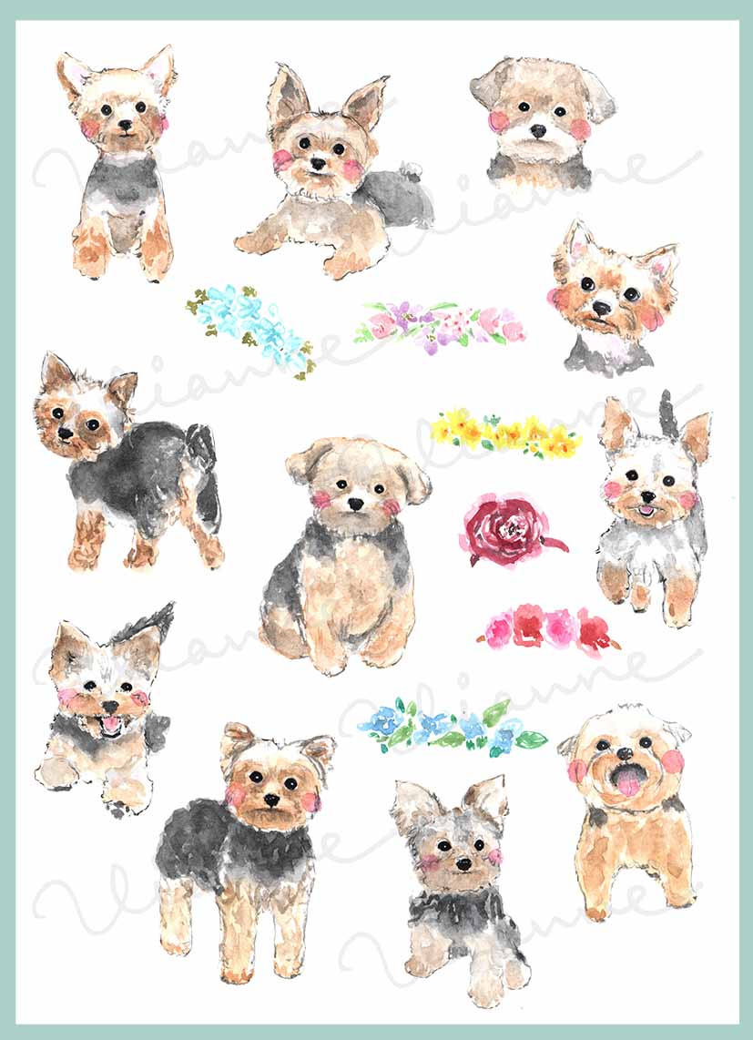 Yorkshire Terrier Clipart Set