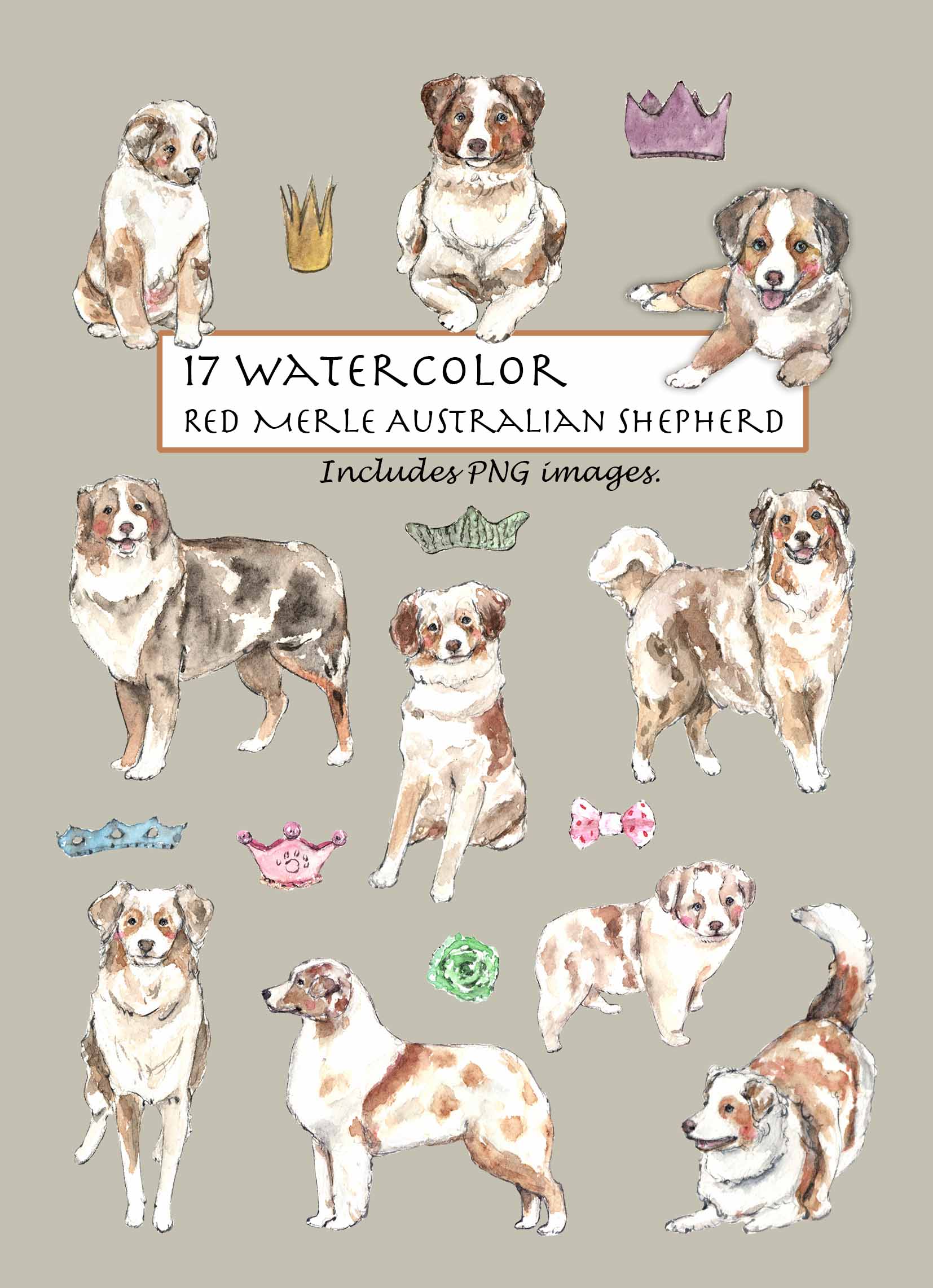 Red Merle Australian Shepherd Clipart Set