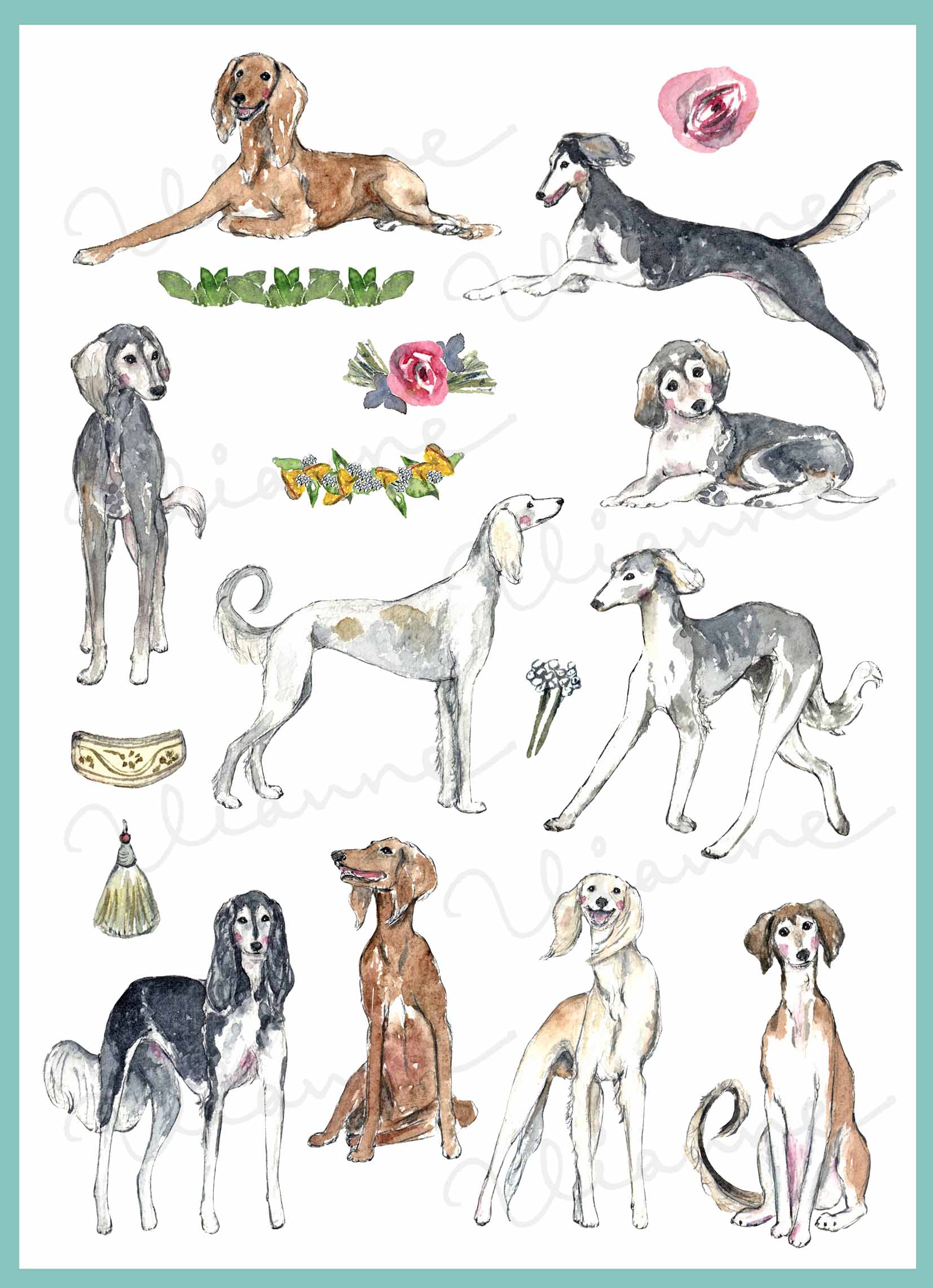 Saluki Clipart Set