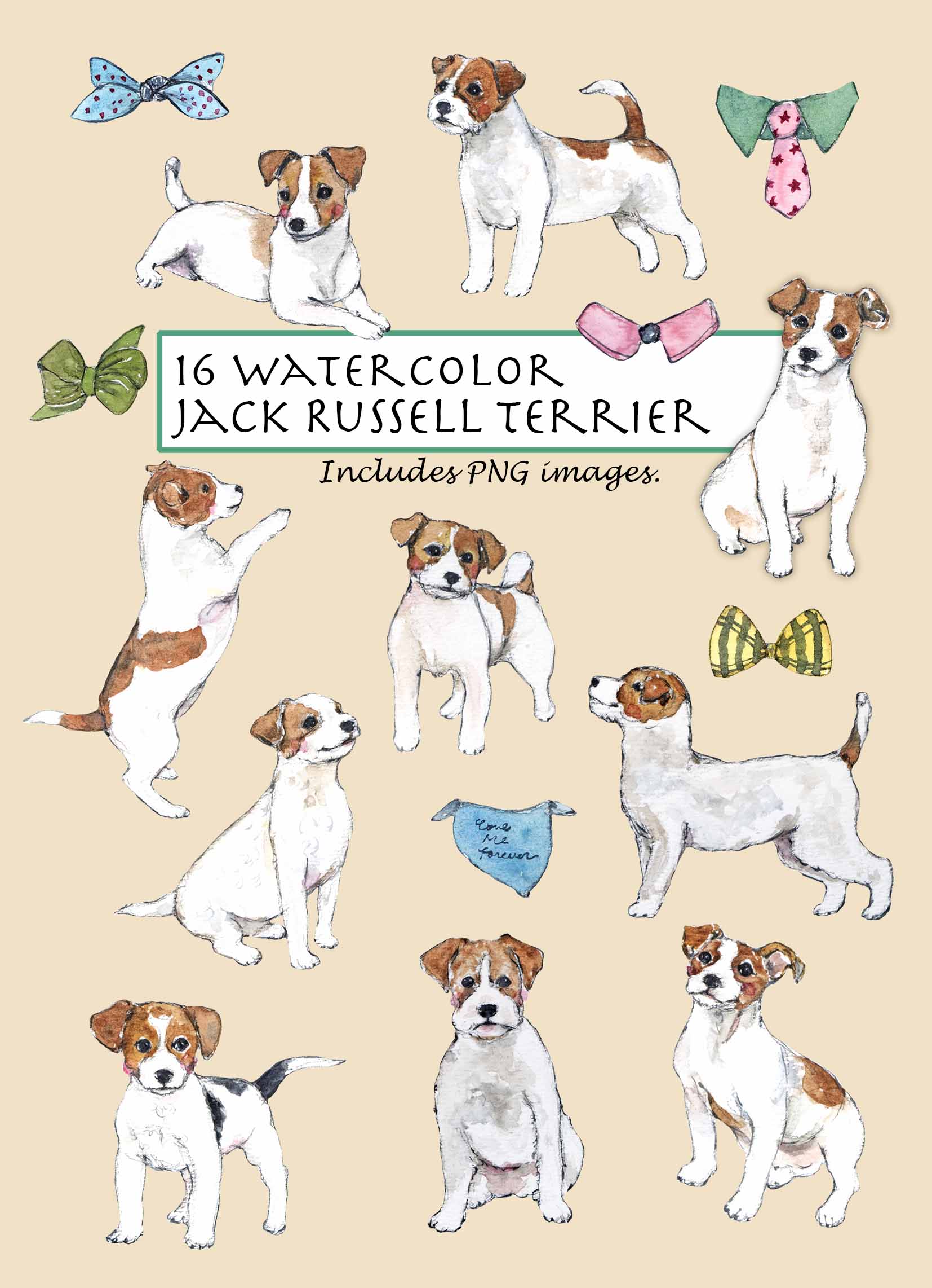 Jack Russell Terrier Clipart Set