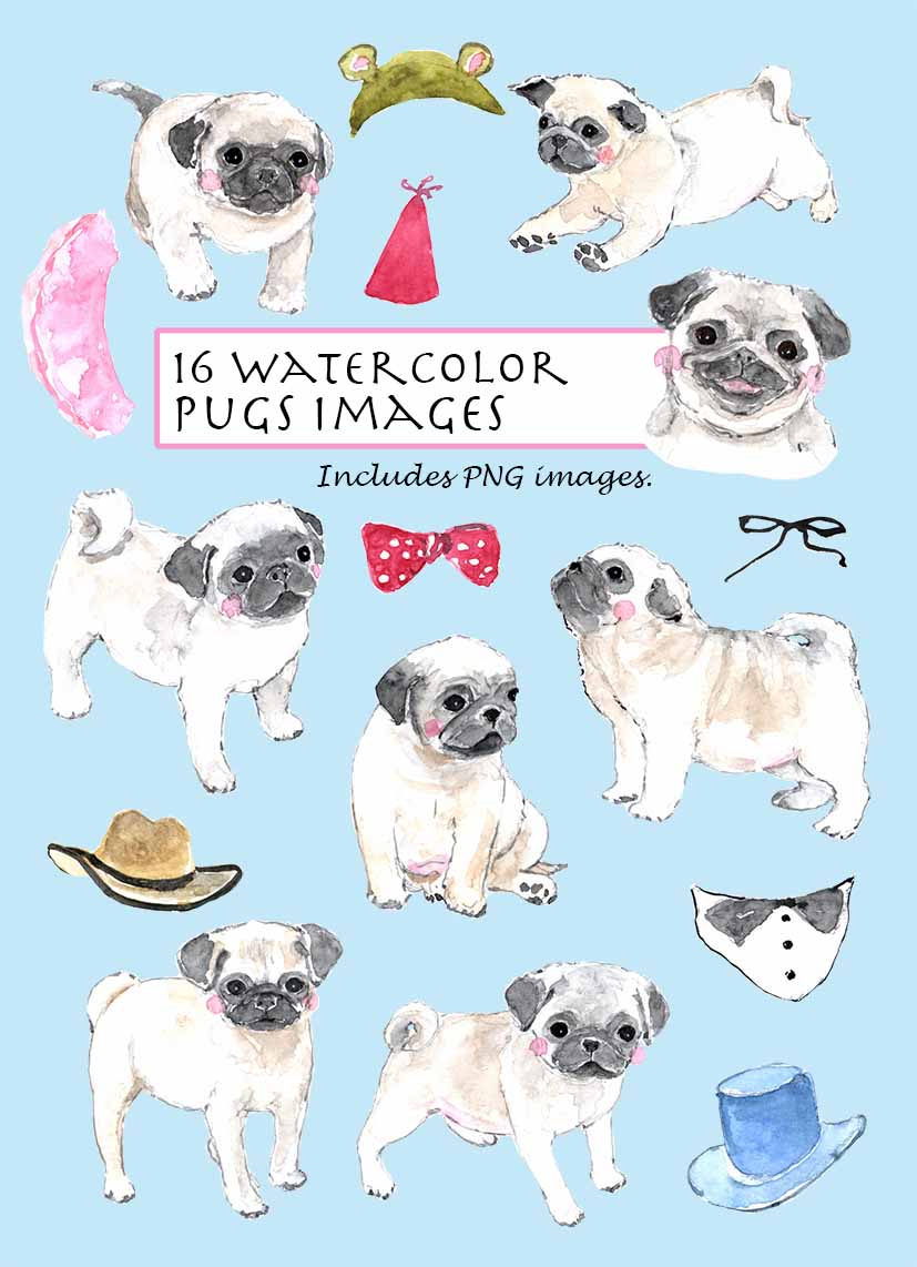 Pugs Clipart Set
