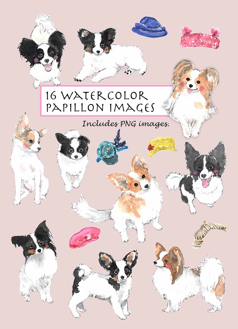 Papillon Dog Clipart Set