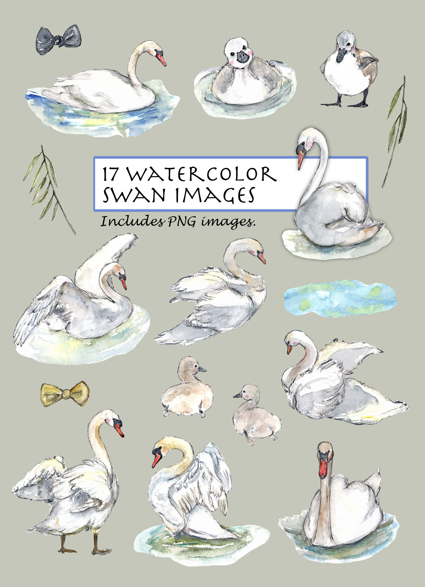Swans Clipart Set