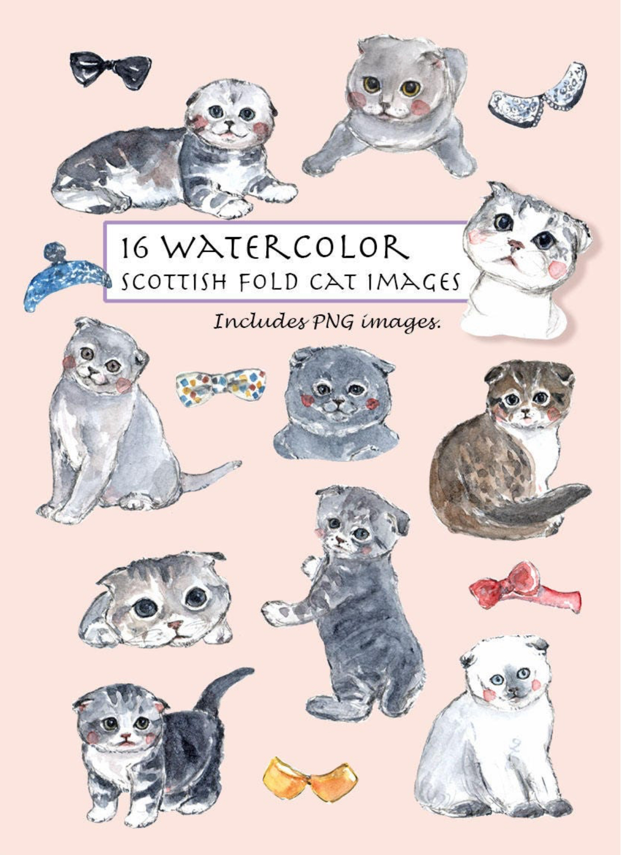 Scottish Fold Cat Clipart Set