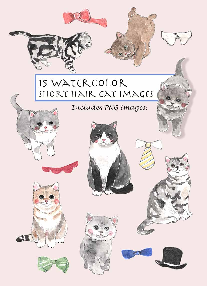 Short Hair Cats Clipart Set