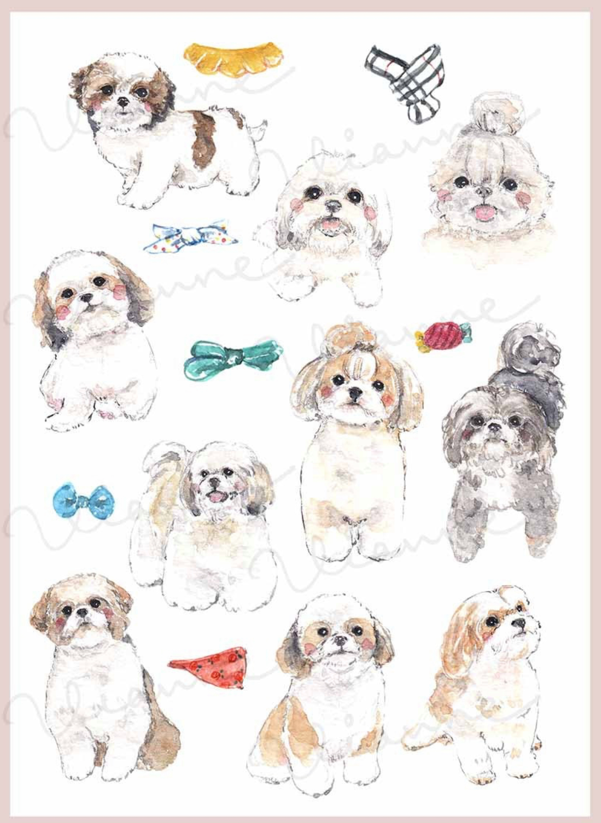 Shih Tzu Clipart Set