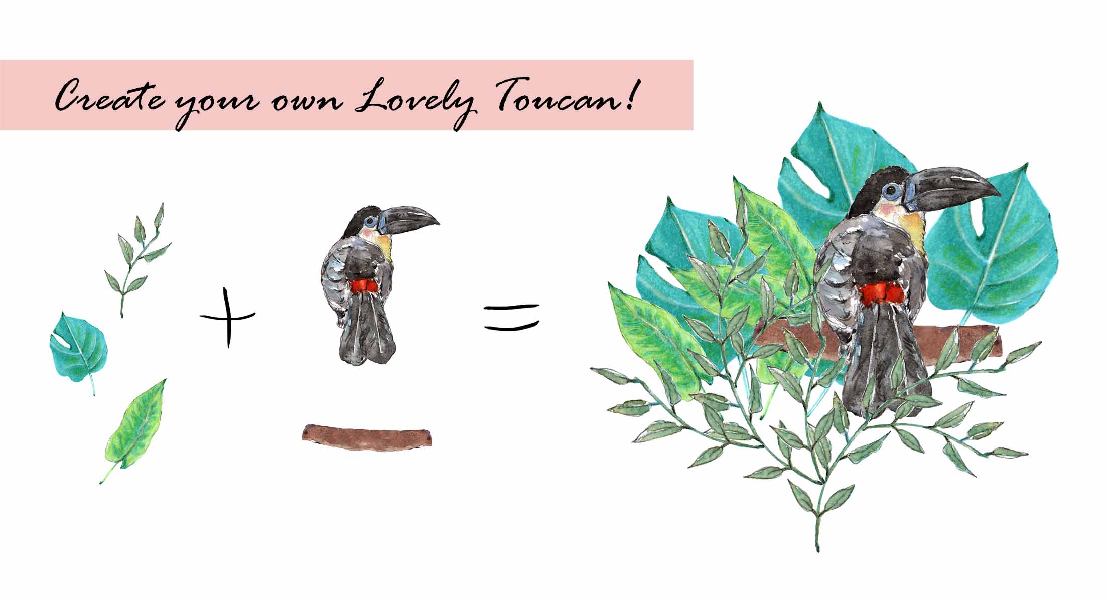 Toucan Bird Clipart Set