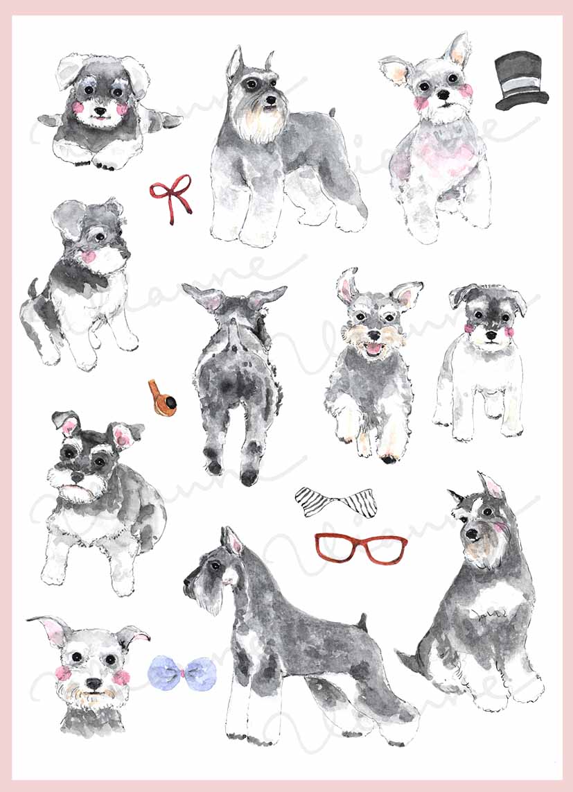 Schnauzer Clipart Set