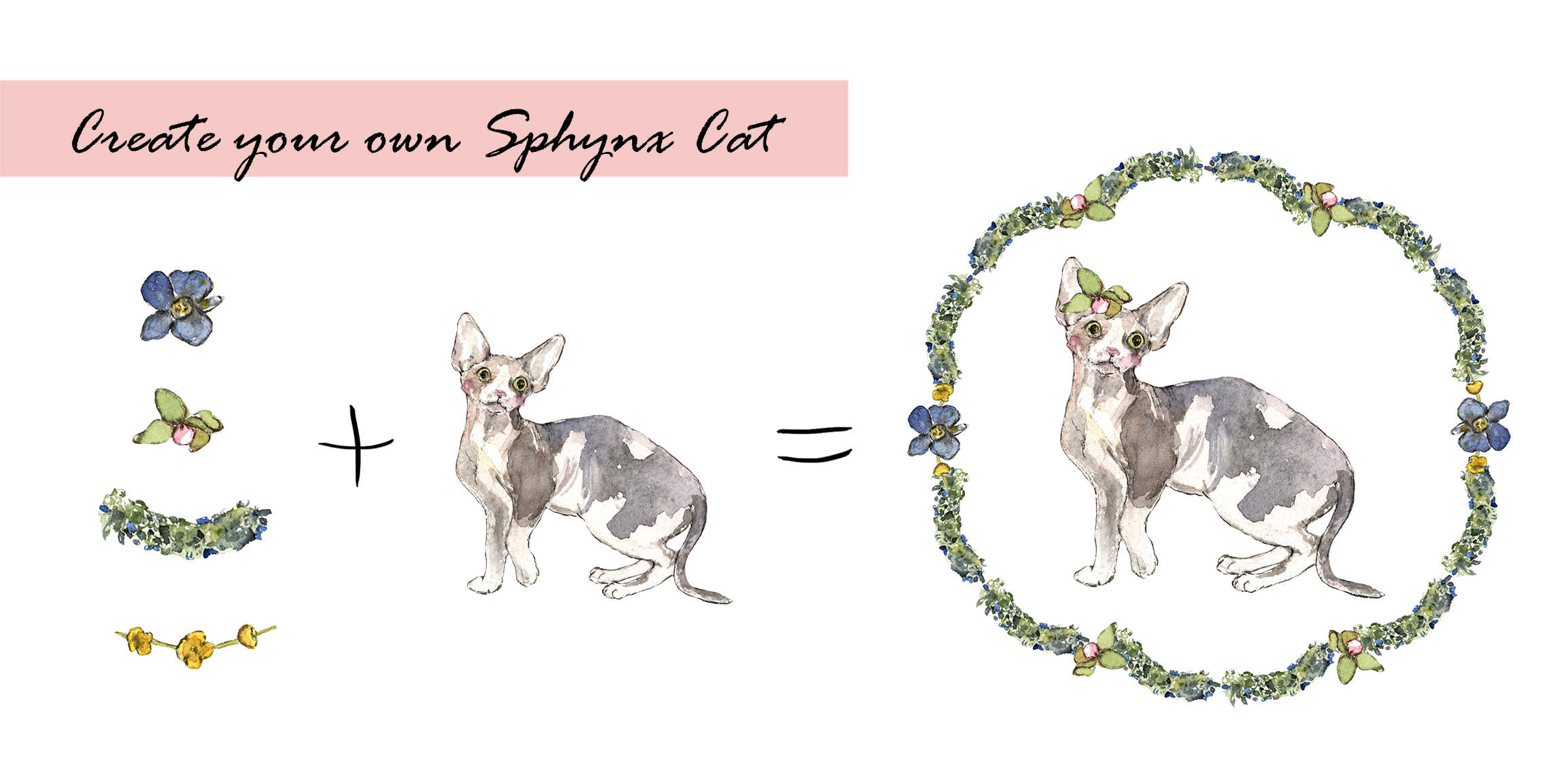 Sphynx Cat Clipart Set