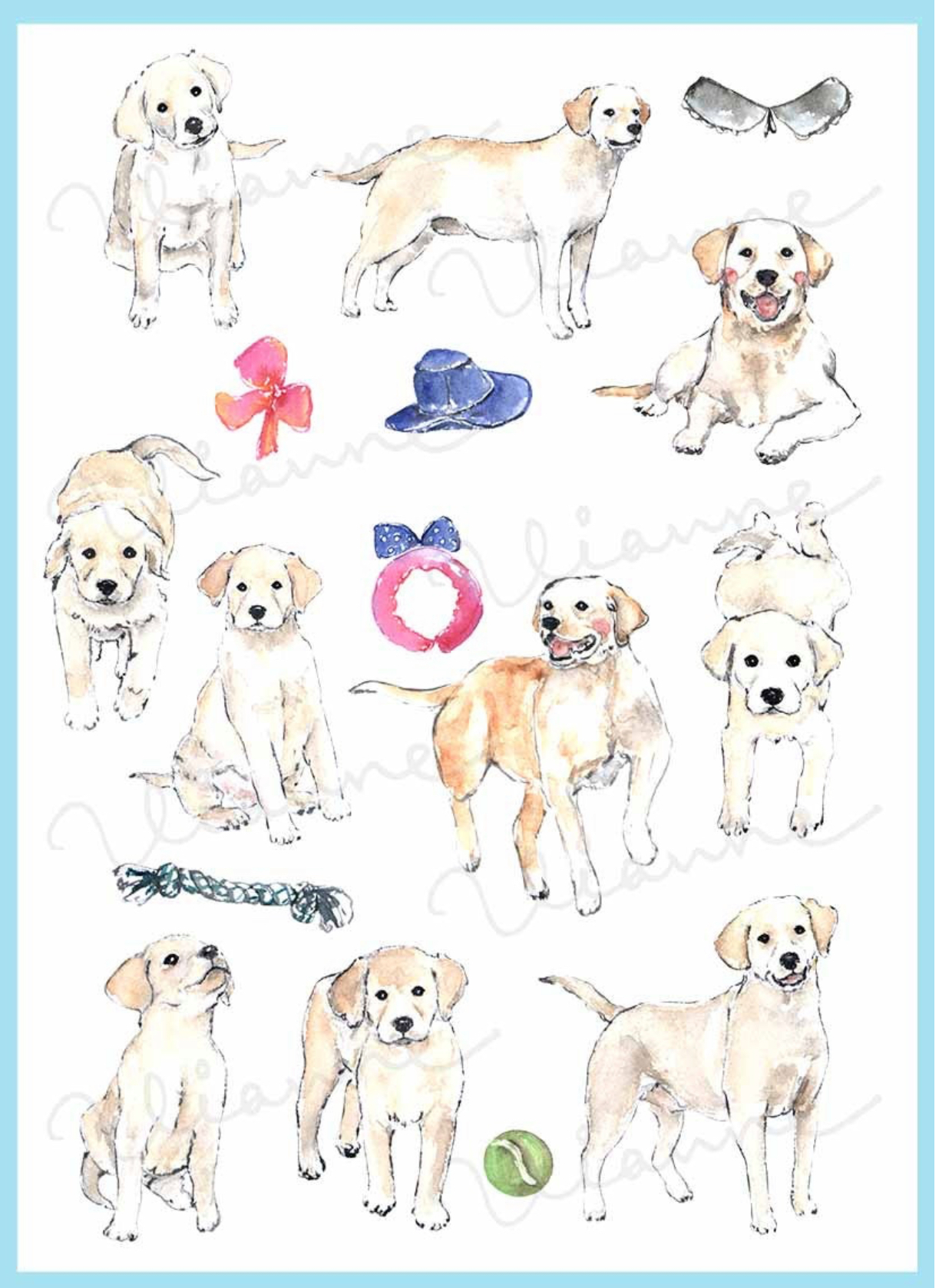 Yellow Labrador Clipart Set