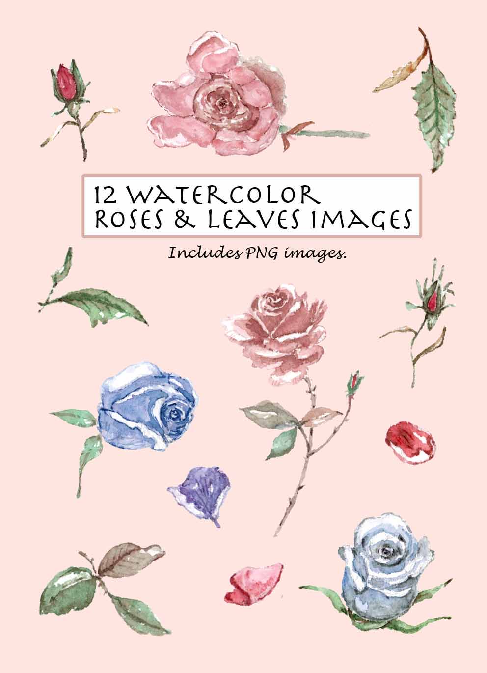 Rose & Leaves Clipart Set