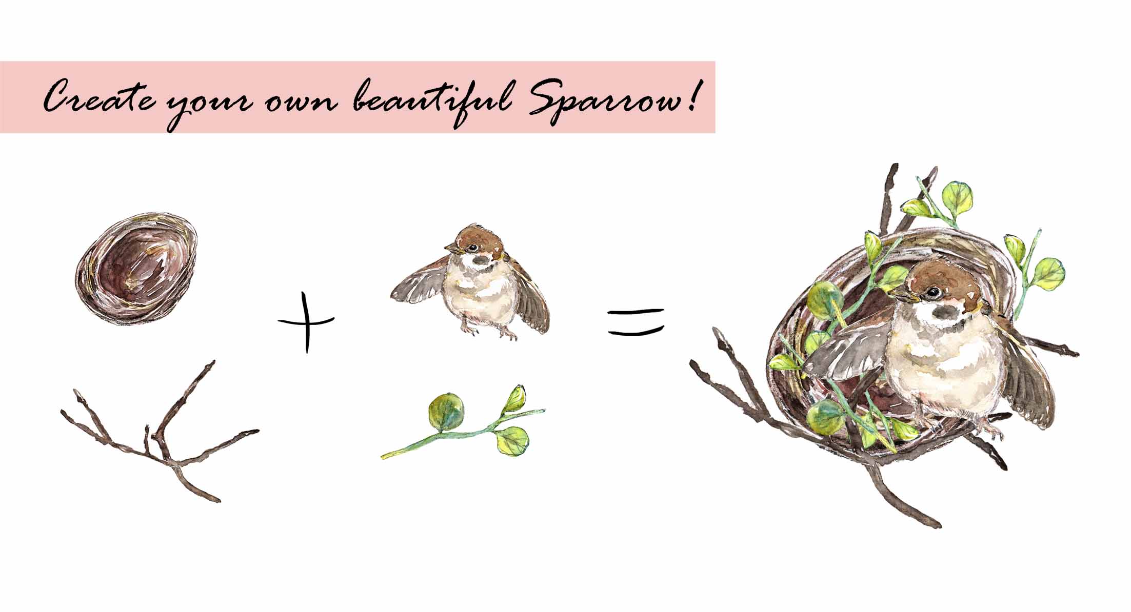 Sparrow Bird Clipart Set