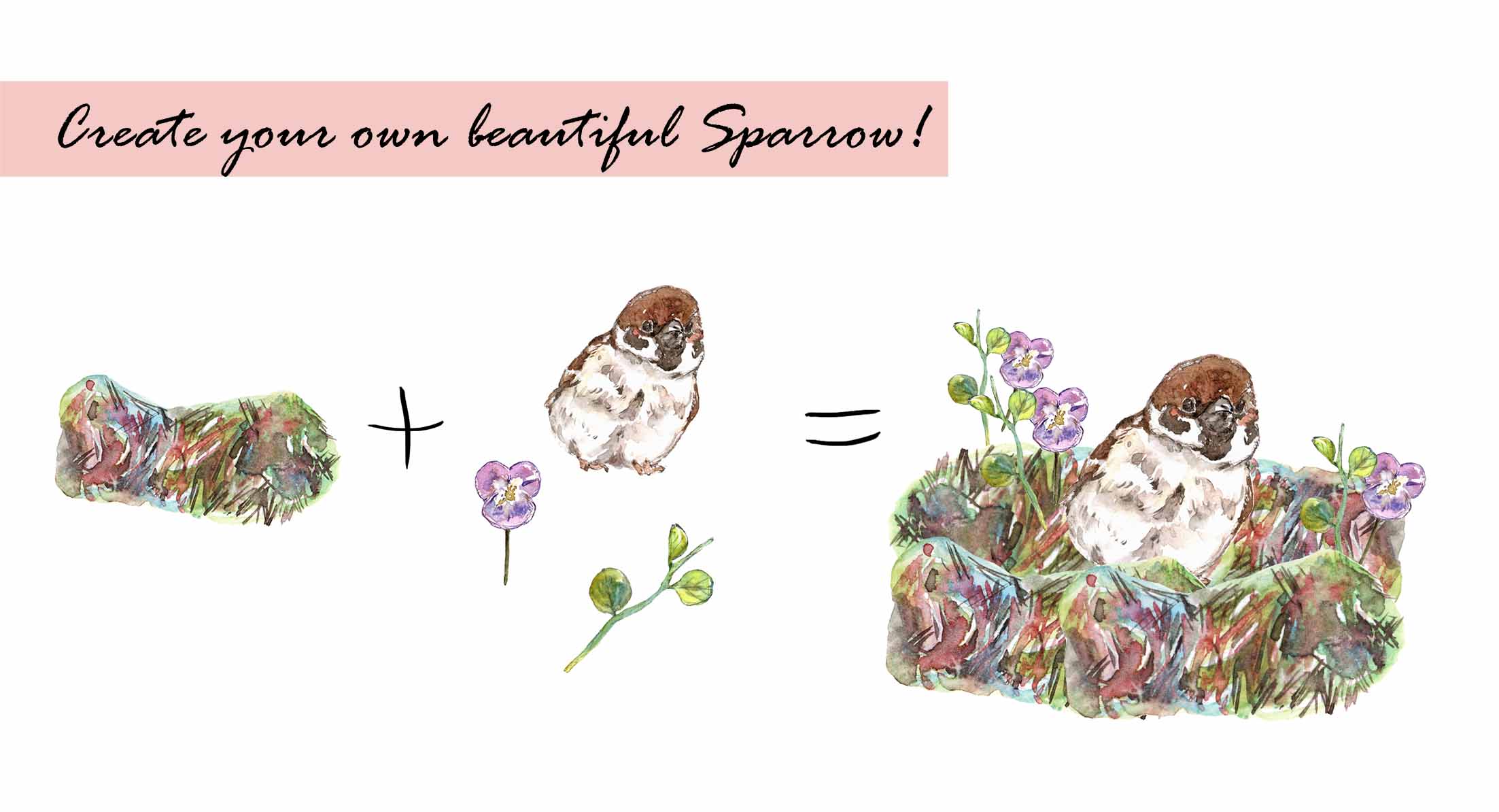 Sparrow Bird Clipart Set