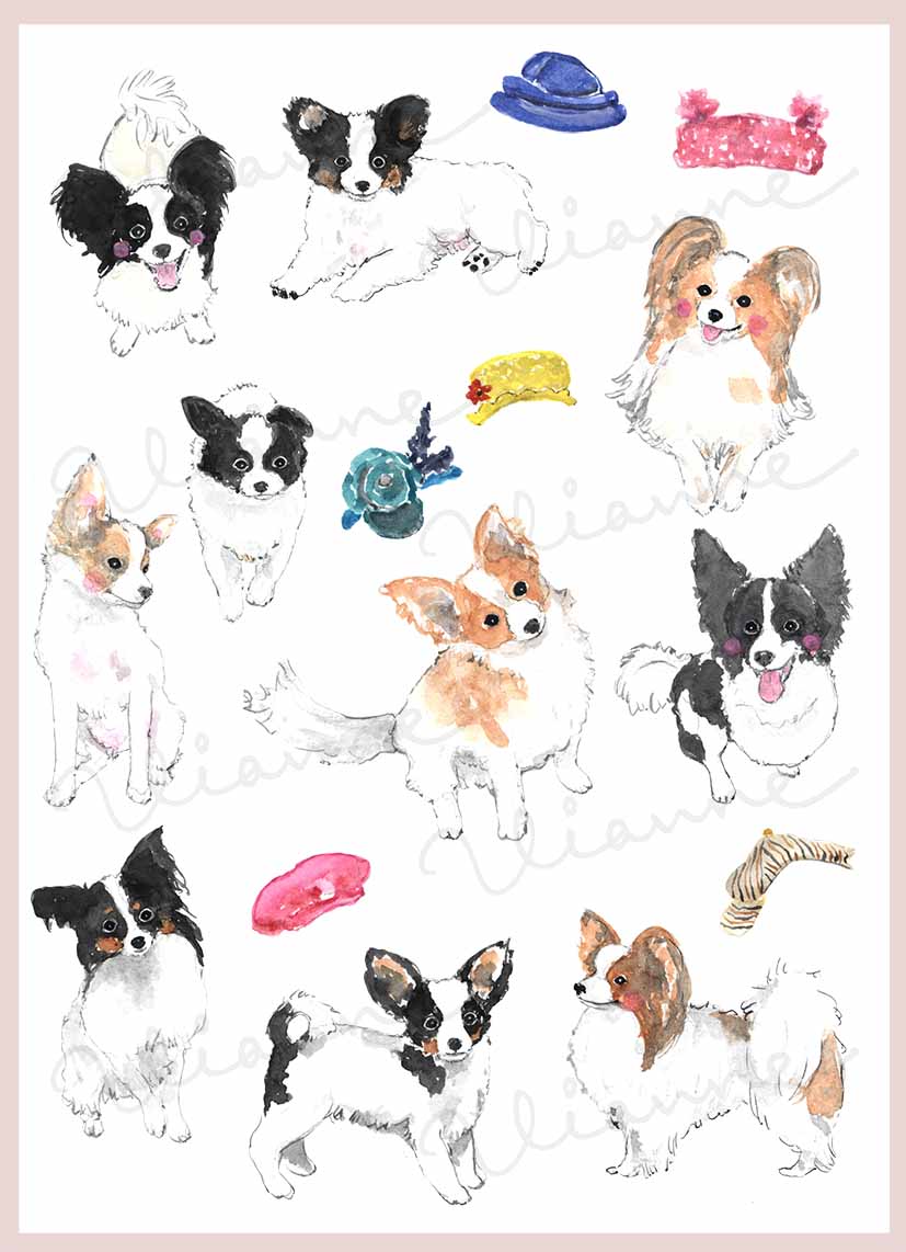 Papillon Dog Clipart Set