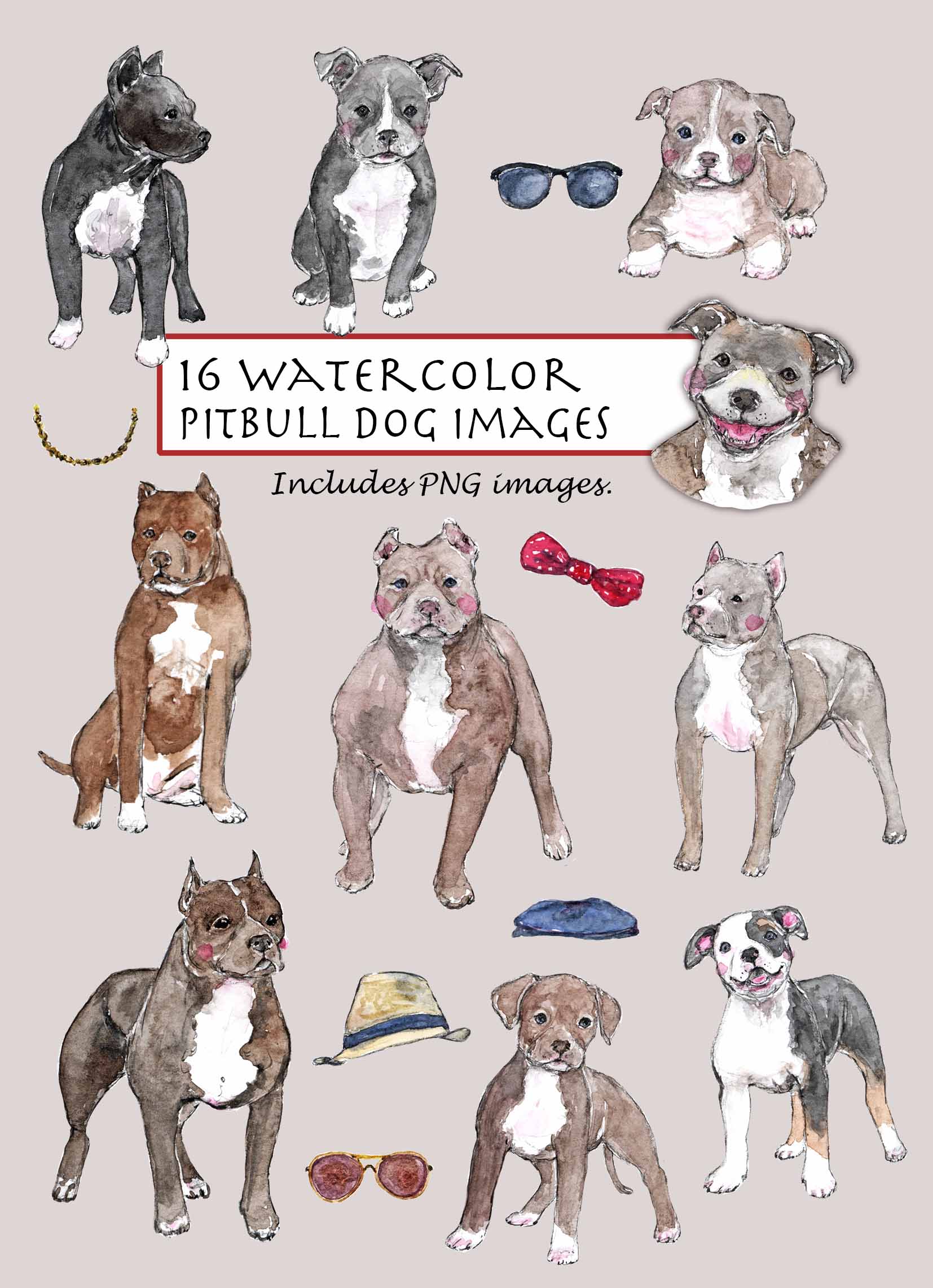 Pitbull Dog Clipart Set