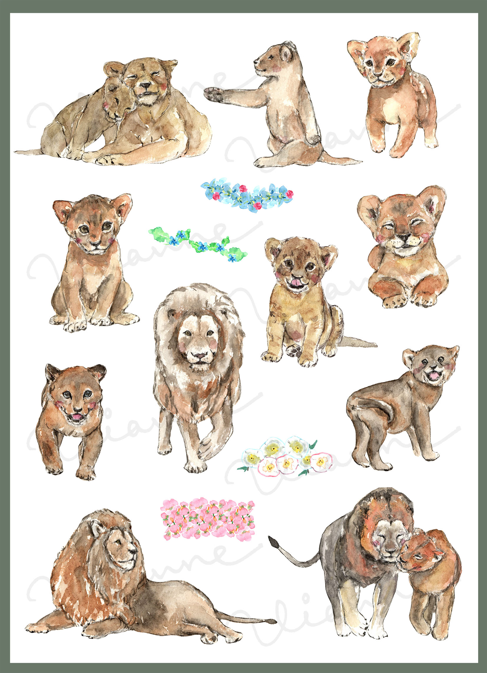 Lions Clipart Set