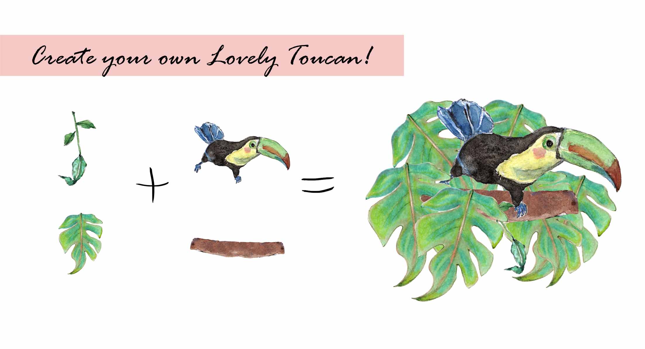 Toucan Bird Clipart Set