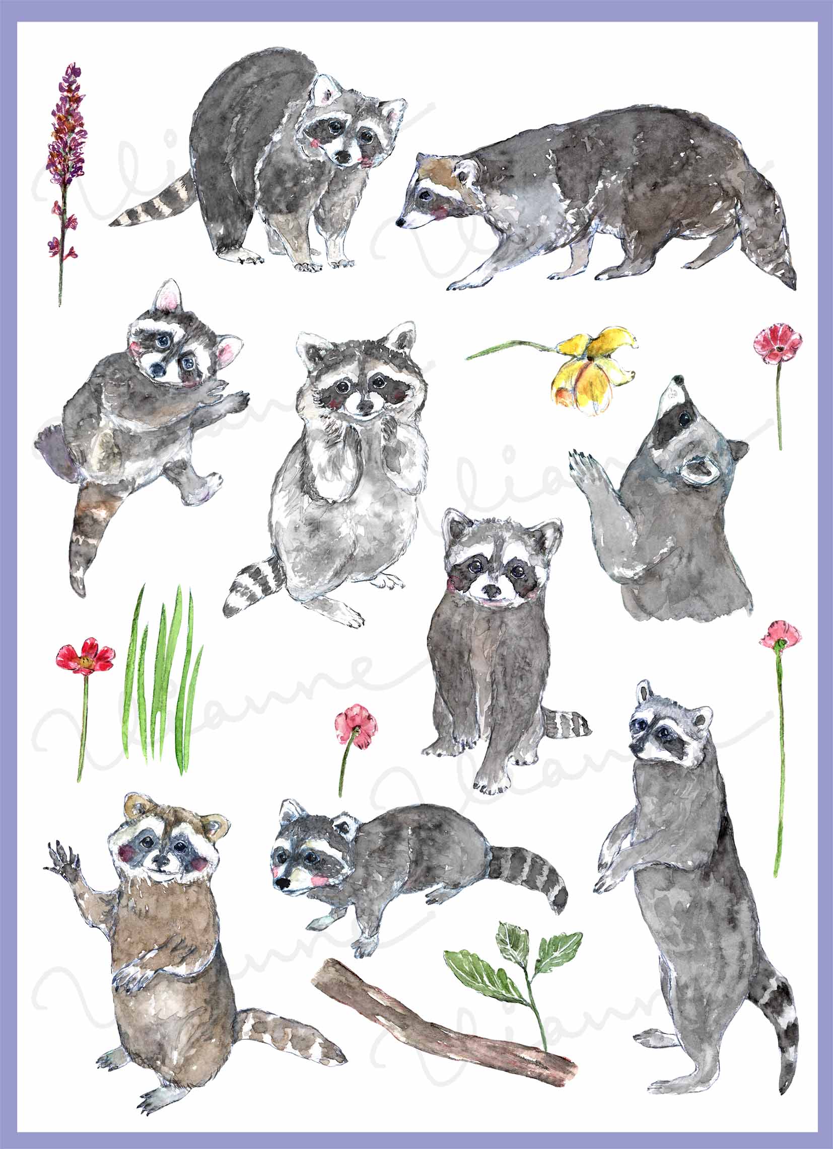 Raccoons Clipart Set
