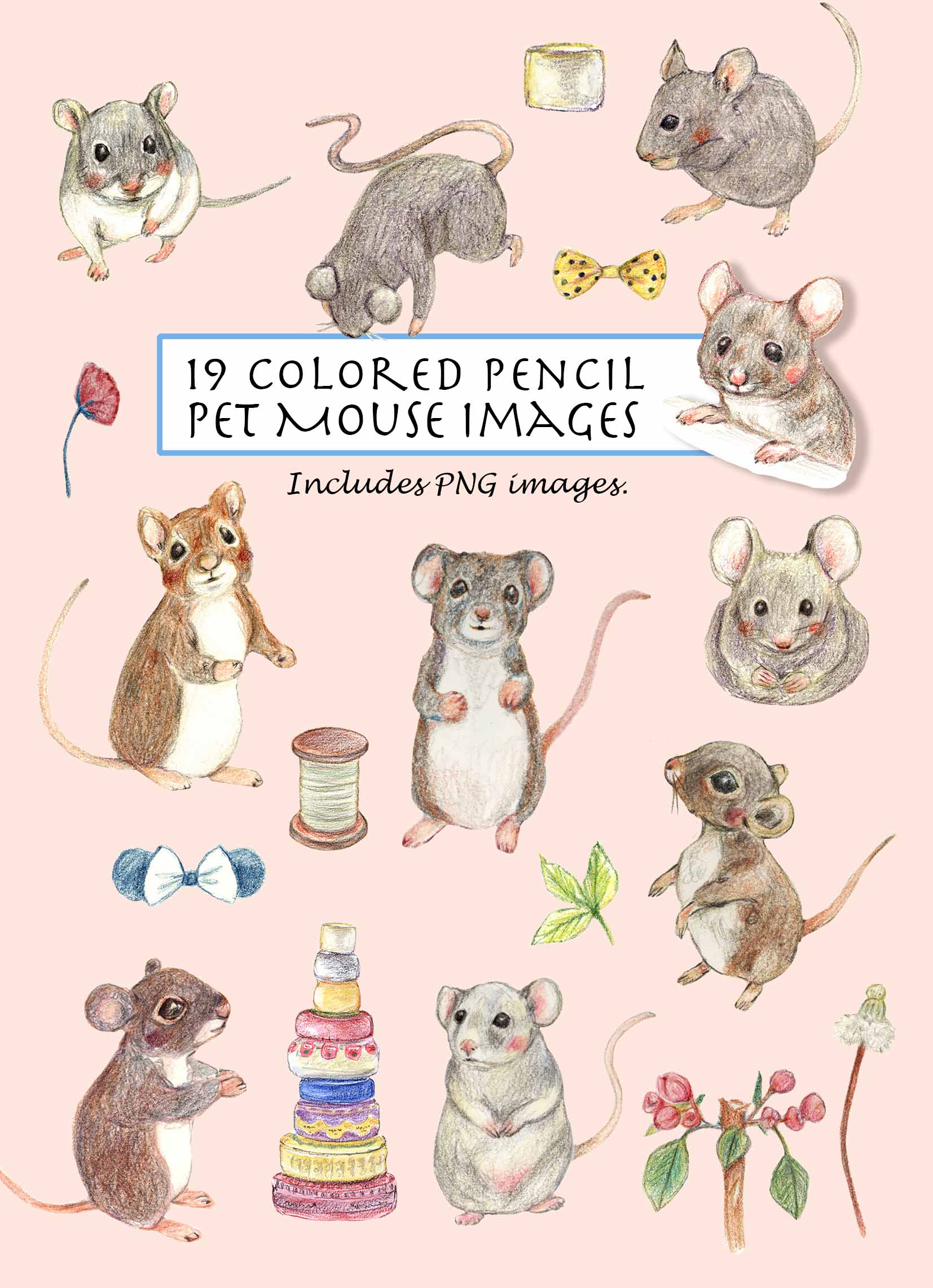 Pet Mouse Clipart Set