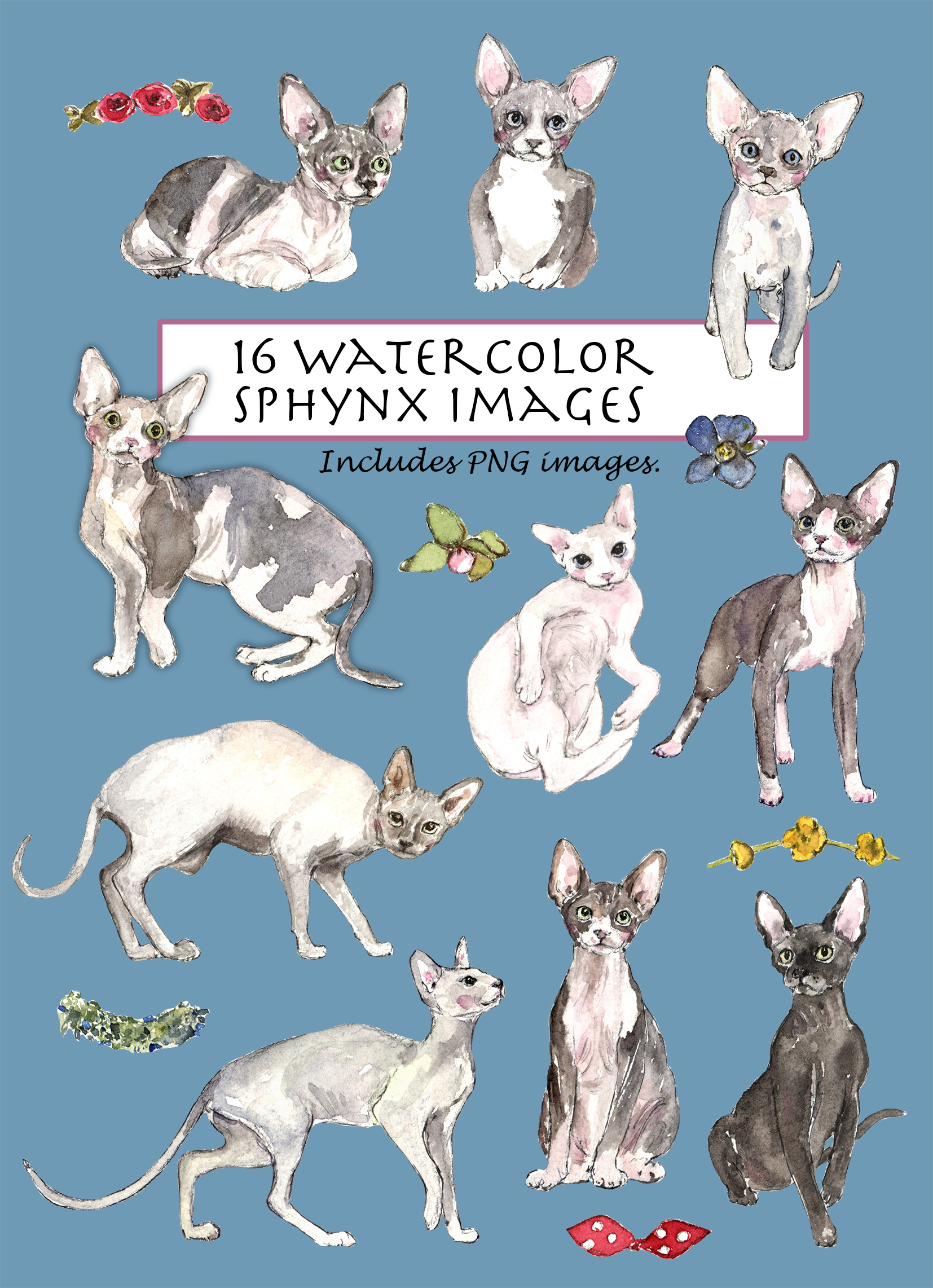 Sphynx Cat Clipart Set