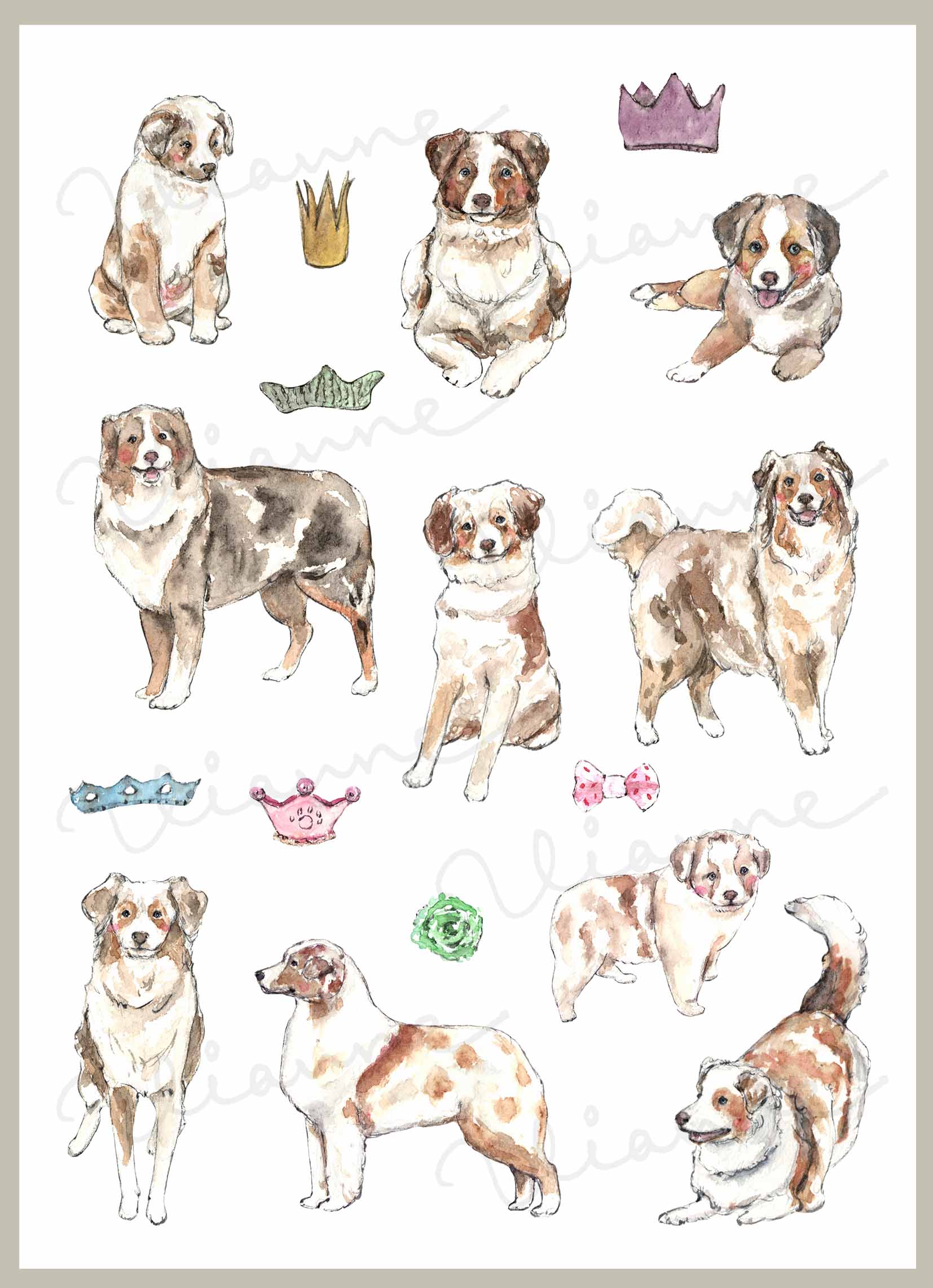Red Merle Australian Shepherd Clipart Set