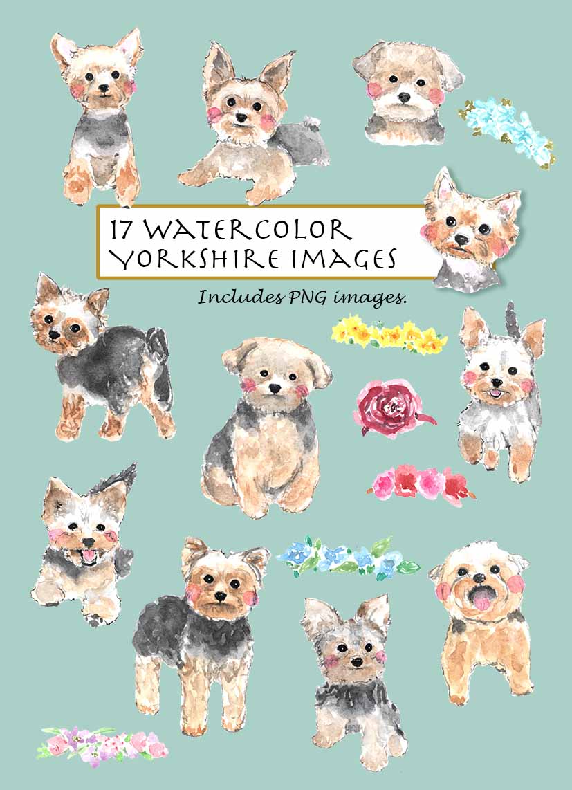 Yorkshire Terrier Clipart Set